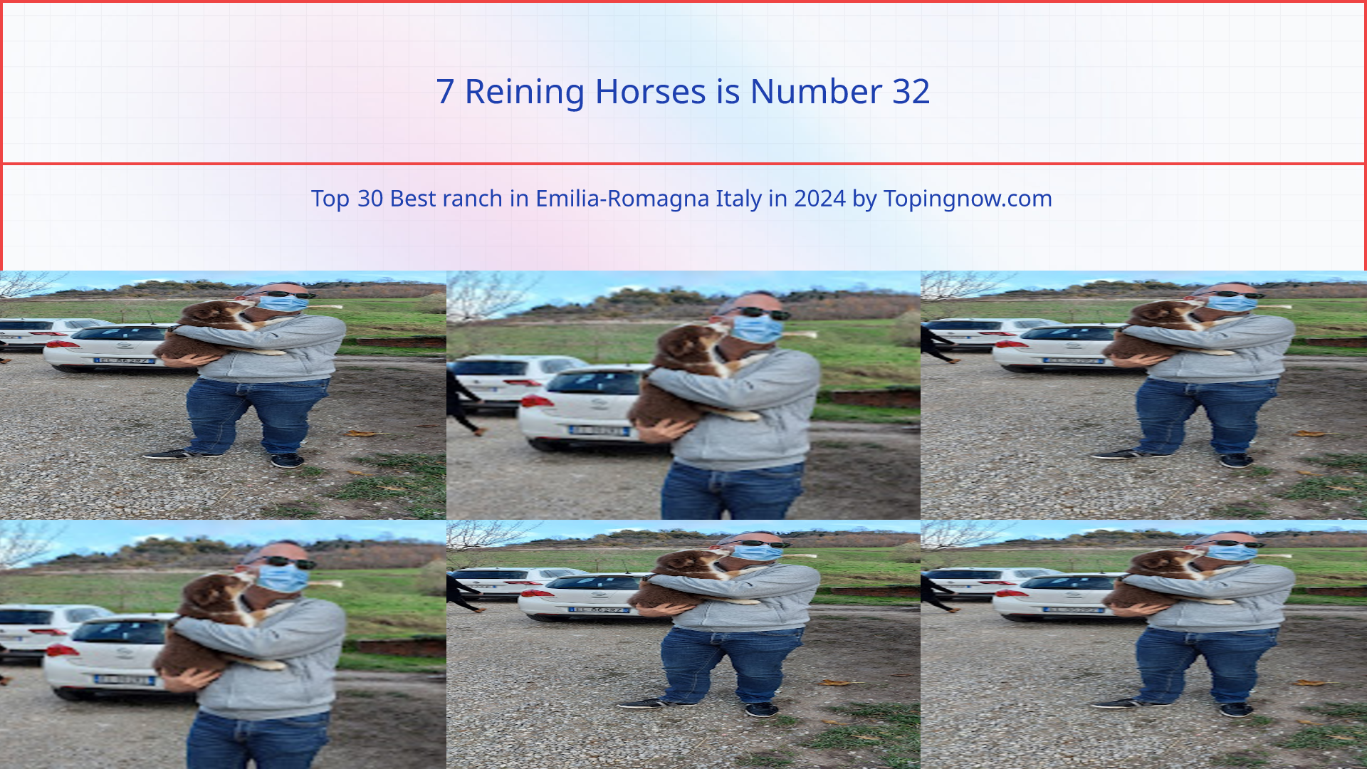 7 Reining Horses: Top 30 Best ranch in Emilia-Romagna Italy in 2024