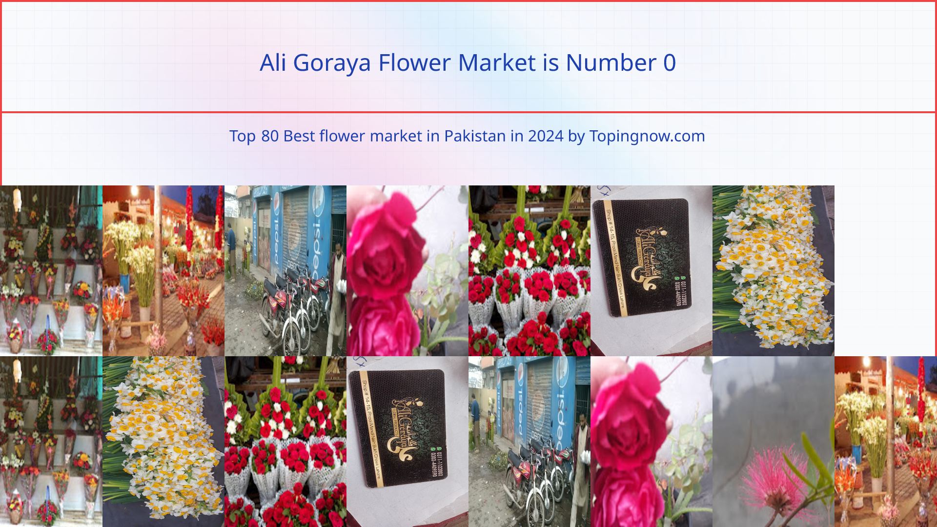 Ali Goraya Flower Market: Top 80 Best flower market in Pakistan in 2024