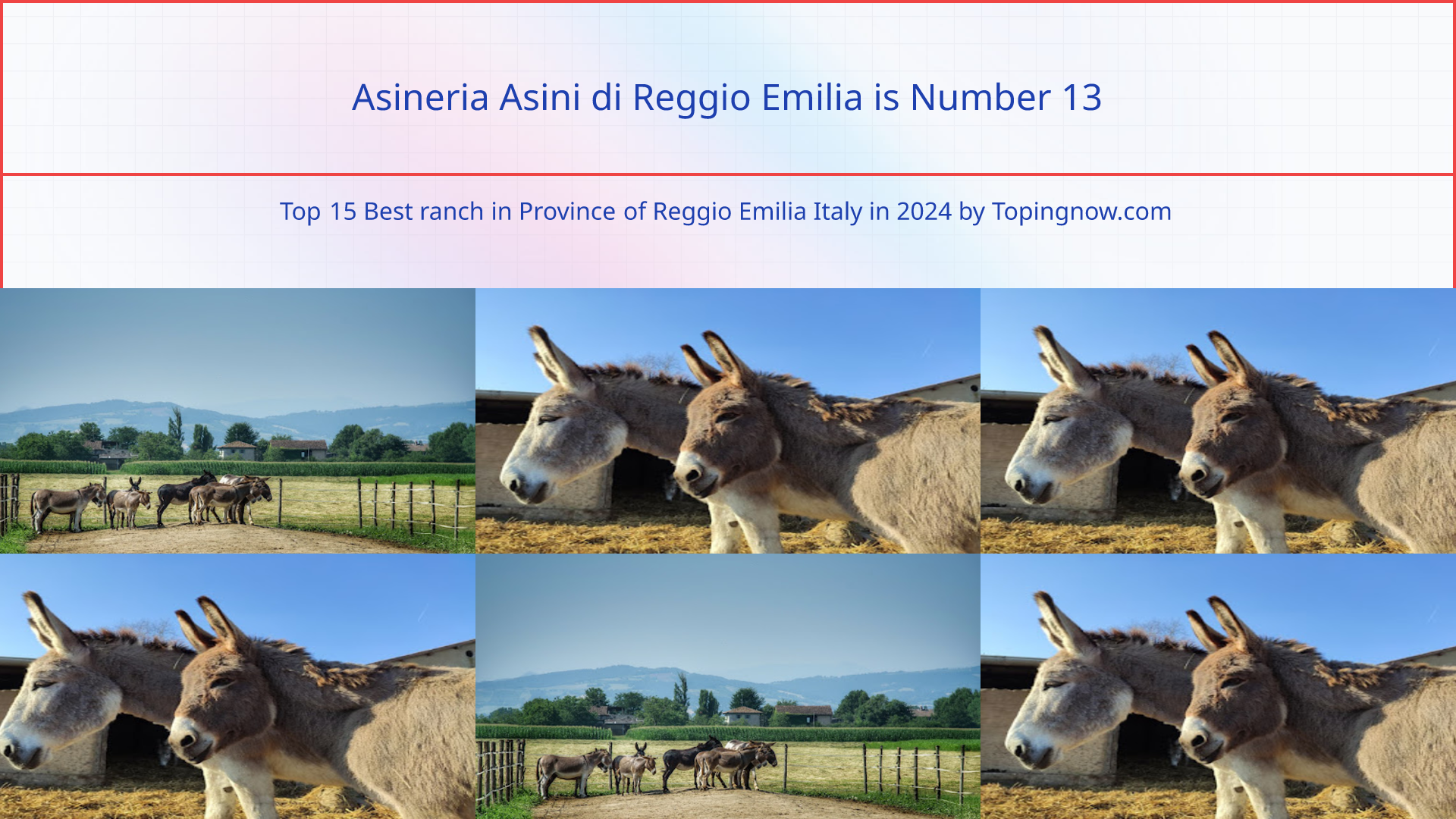 Asineria Asini di Reggio Emilia: Top 15 Best ranch in Province of Reggio Emilia Italy in 2024