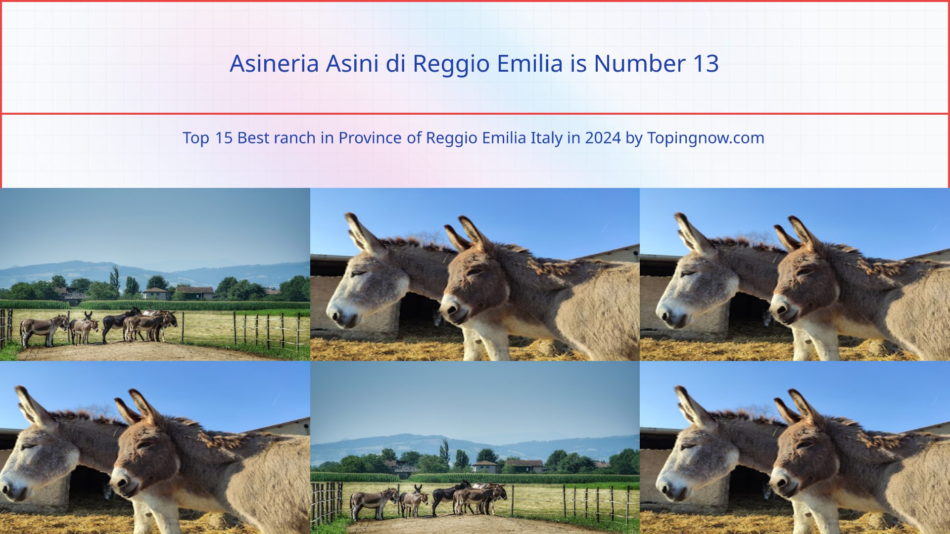 Asineria Asini di Reggio Emilia: Top 15 Best ranch in Province of Reggio Emilia Italy in 2025