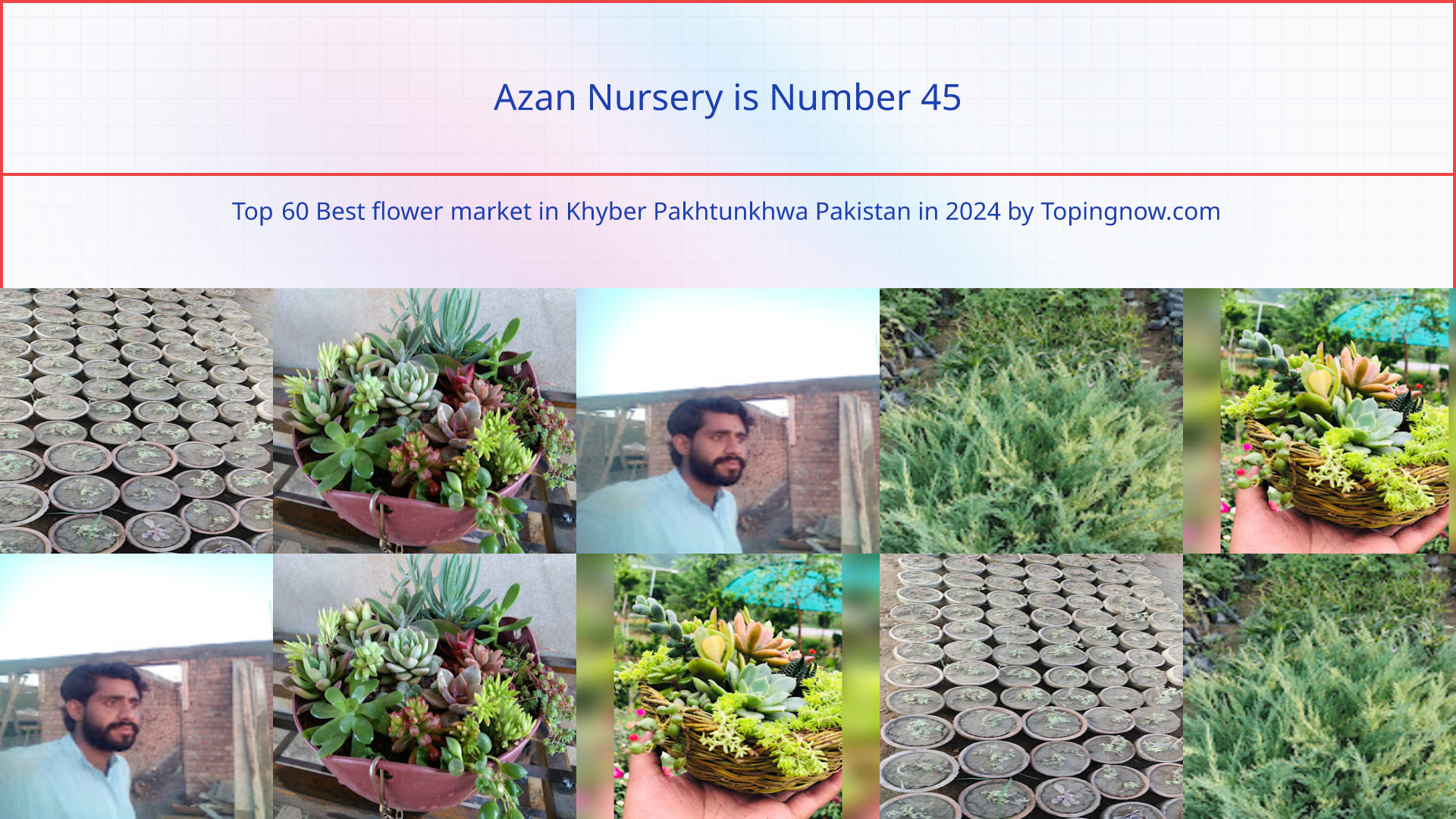 Azan Nursery: Top 60 Best flower market in Khyber Pakhtunkhwa Pakistan in 2024