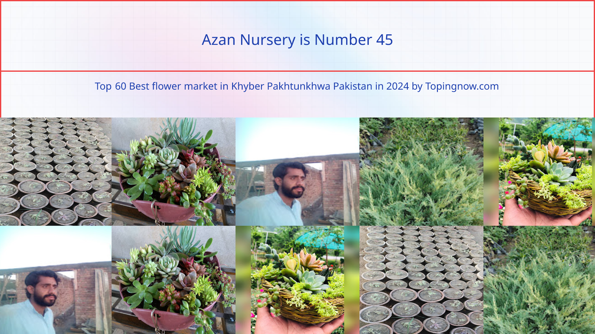 Azan Nursery: Top 60 Best flower market in Khyber Pakhtunkhwa Pakistan in 2025