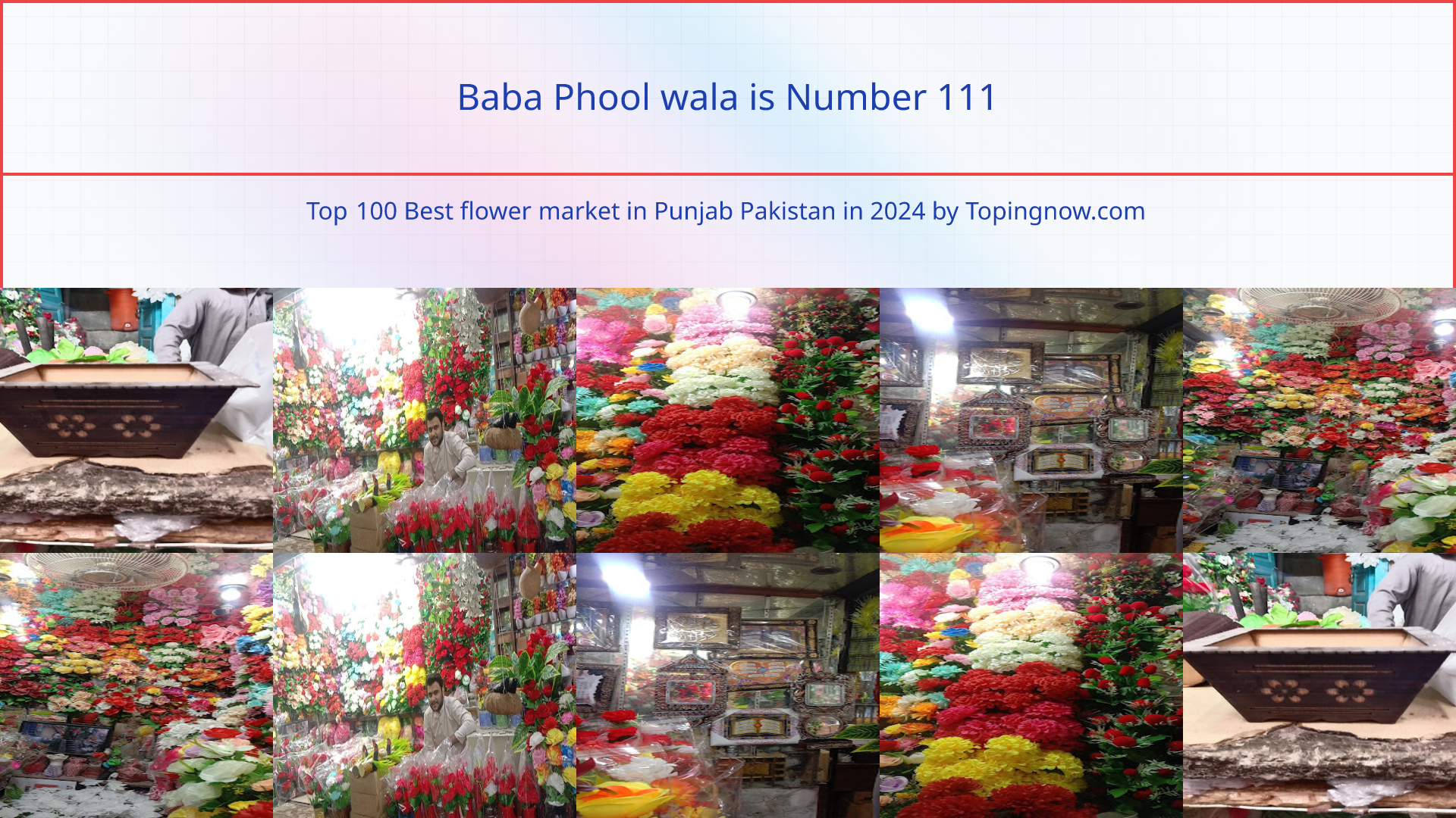 Baba Phool wala: Top 100 Best flower market in Punjab Pakistan in 2024