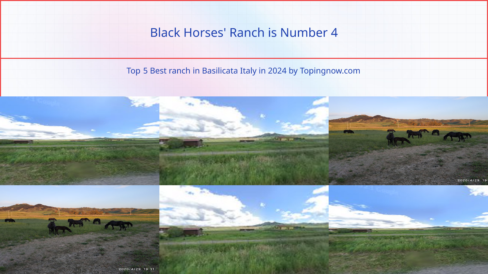 Black Horses' Ranch: Top 5 Best ranch in Basilicata Italy in 2024