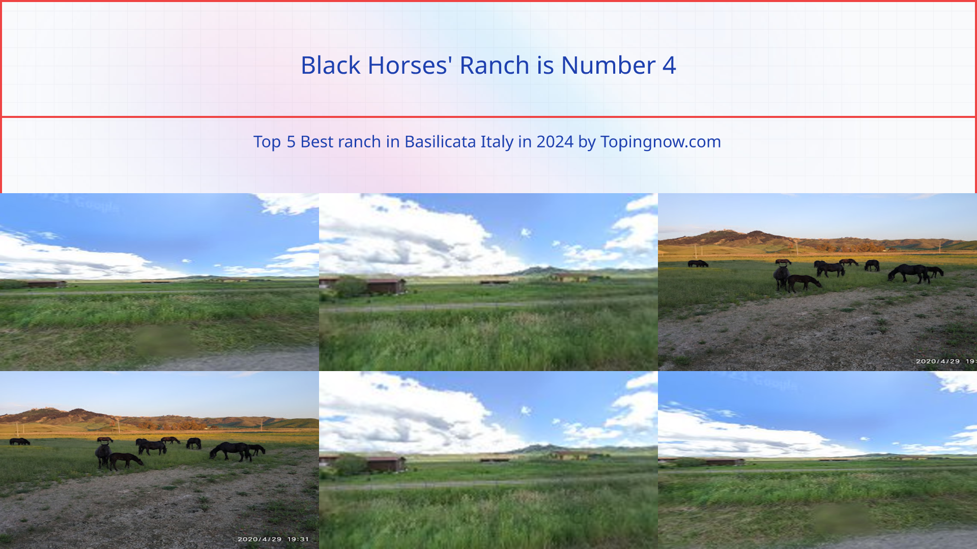 Black Horses' Ranch: Top 5 Best ranch in Basilicata Italy in 2025