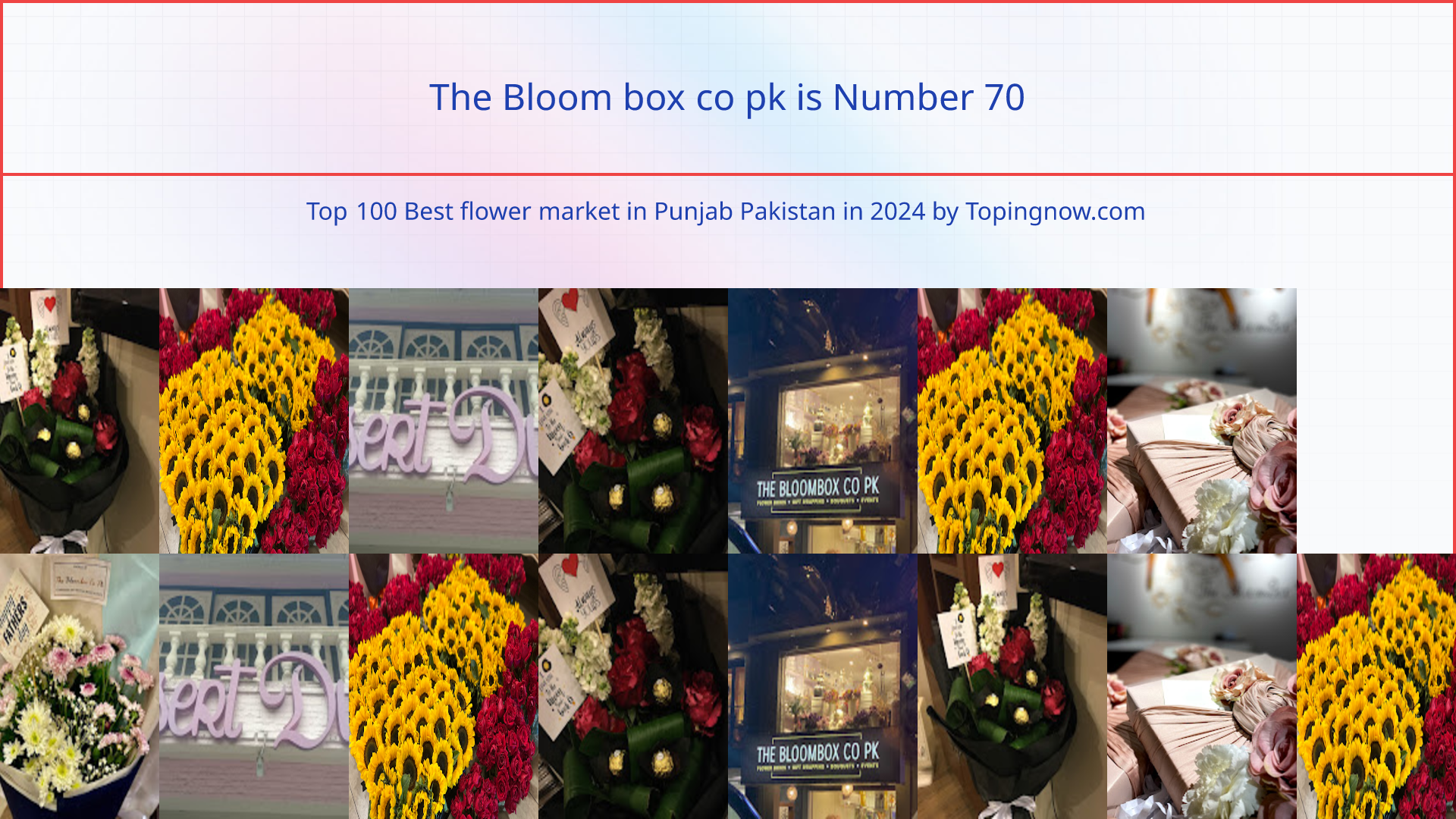 The Bloom box co pk: Top 100 Best flower market in Punjab Pakistan in 2025