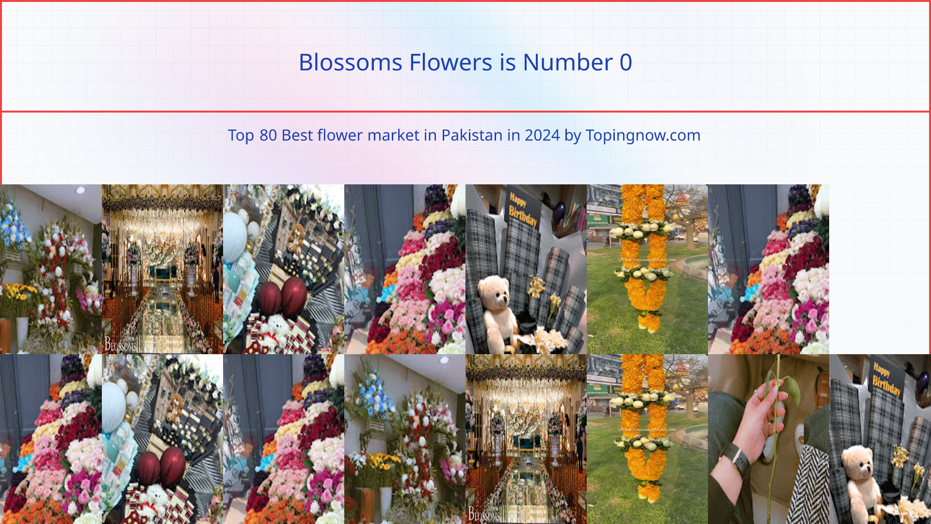 Blossoms Flowers: Top 80 Best flower market in Pakistan in 2024
