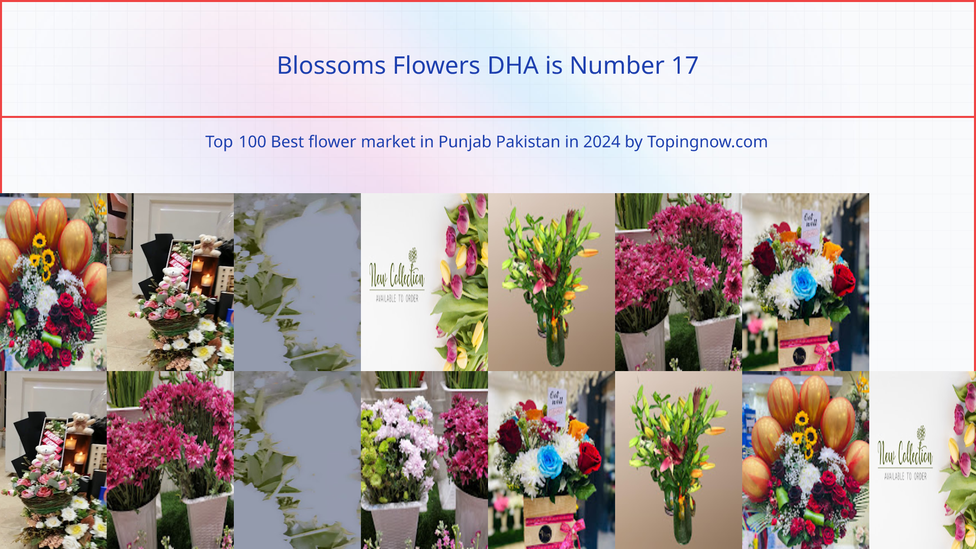 Blossoms Flowers DHA: Top 100 Best flower market in Punjab Pakistan in 2024
