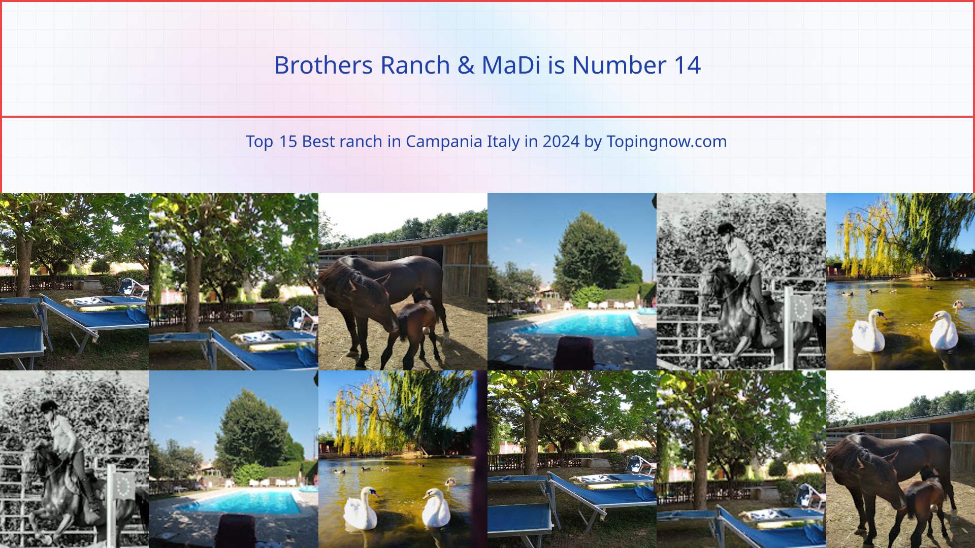Brothers Ranch & MaDi: Top 15 Best ranch in Campania Italy in 2024