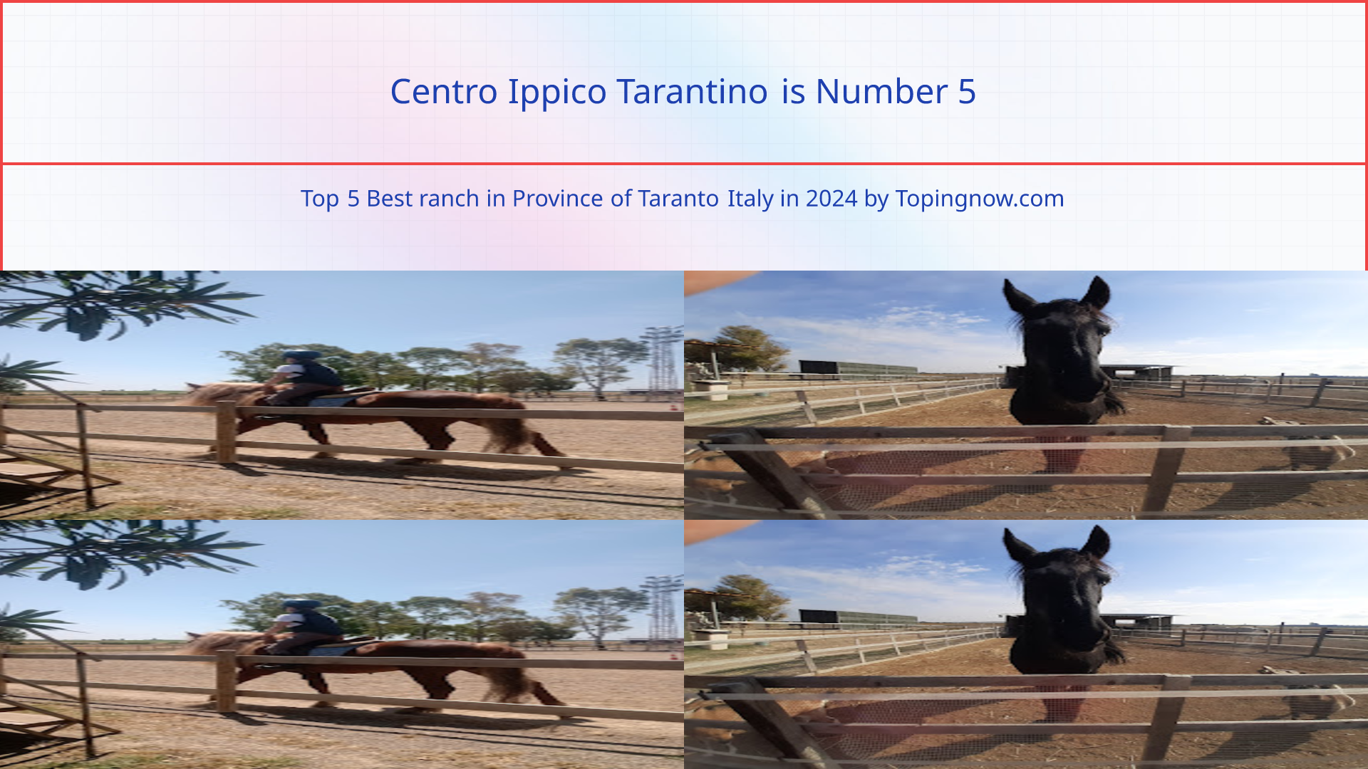 Centro Ippico Tarantino: Top 5 Best ranch in Province of Taranto Italy in 2024