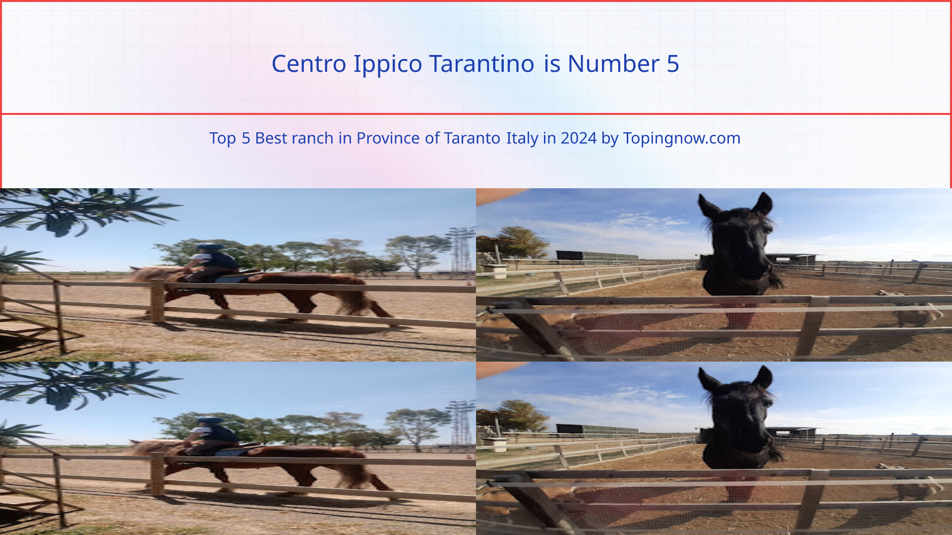Centro Ippico Tarantino: Top 5 Best ranch in Province of Taranto Italy in 2025