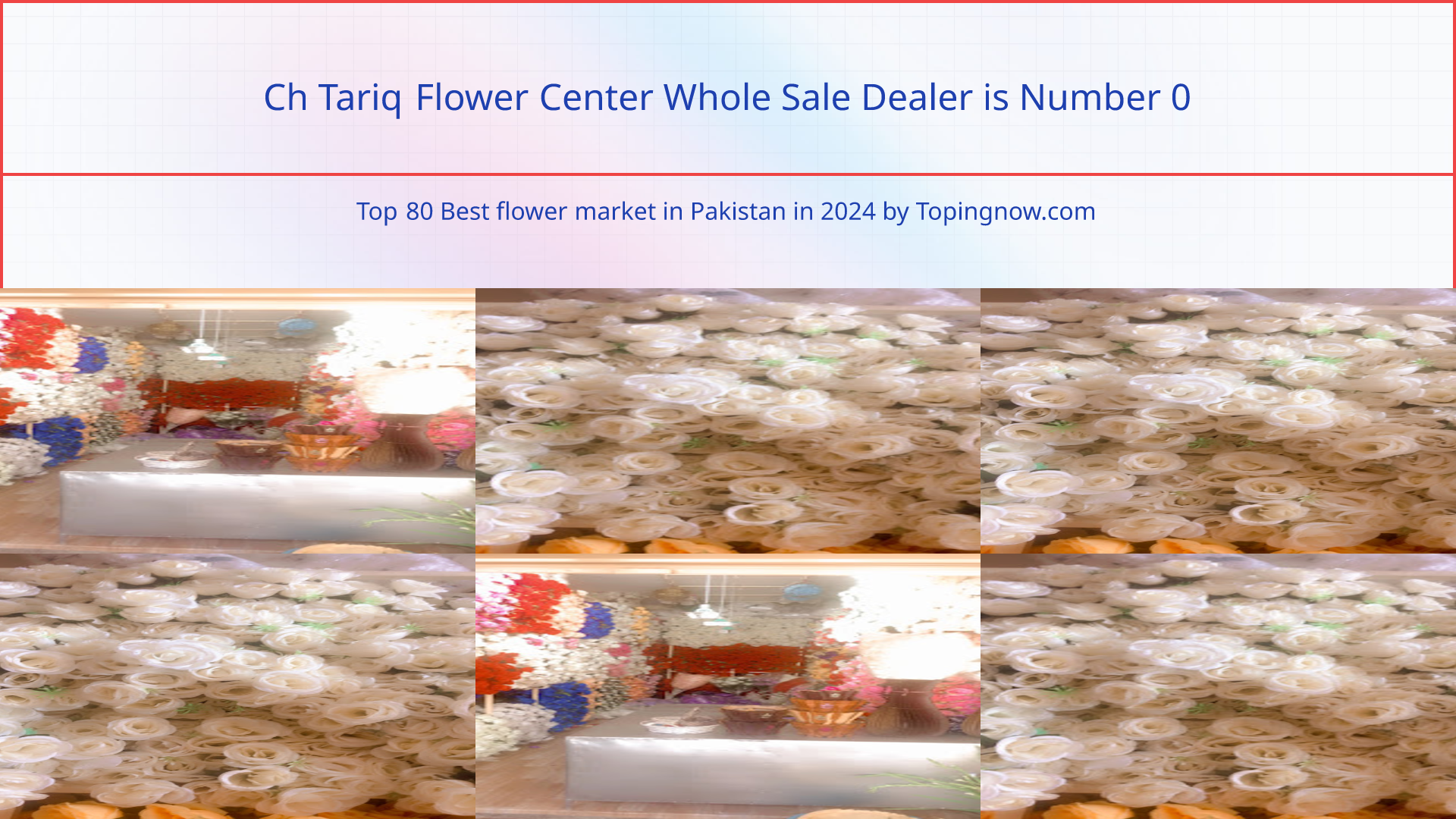 Ch Tariq Flower Center Whole Sale Dealer: Top 80 Best flower market in Pakistan in 2024