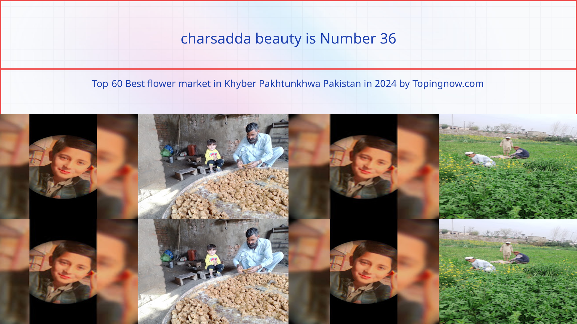 charsadda beauty: Top 60 Best flower market in Khyber Pakhtunkhwa Pakistan in 2024