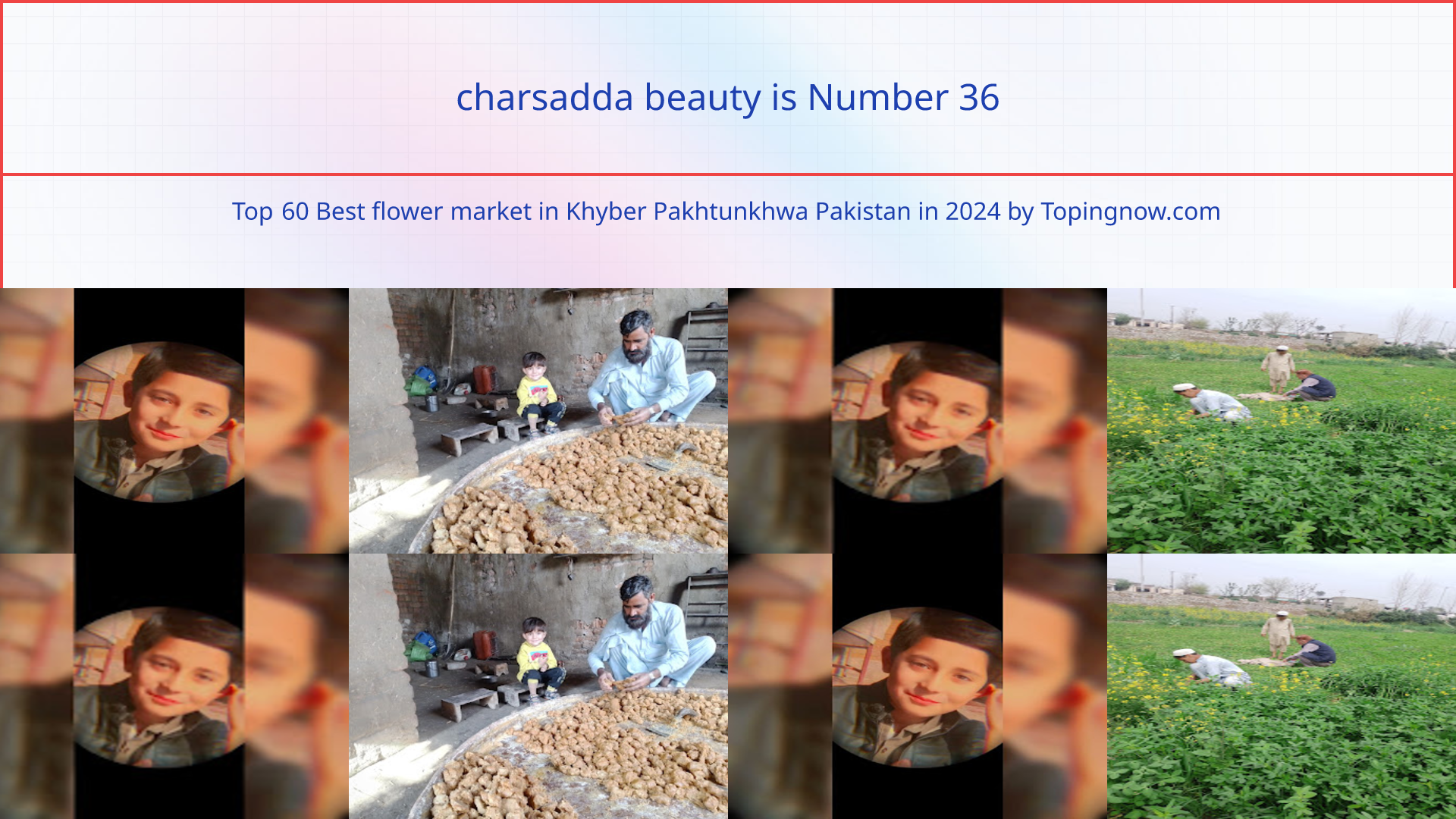 charsadda beauty: Top 60 Best flower market in Khyber Pakhtunkhwa Pakistan in 2025