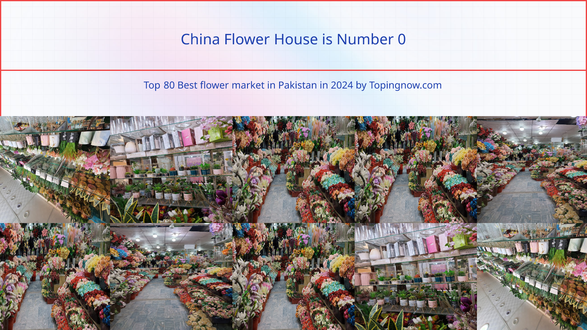 China Flower House: Top 80 Best flower market in Pakistan in 2024