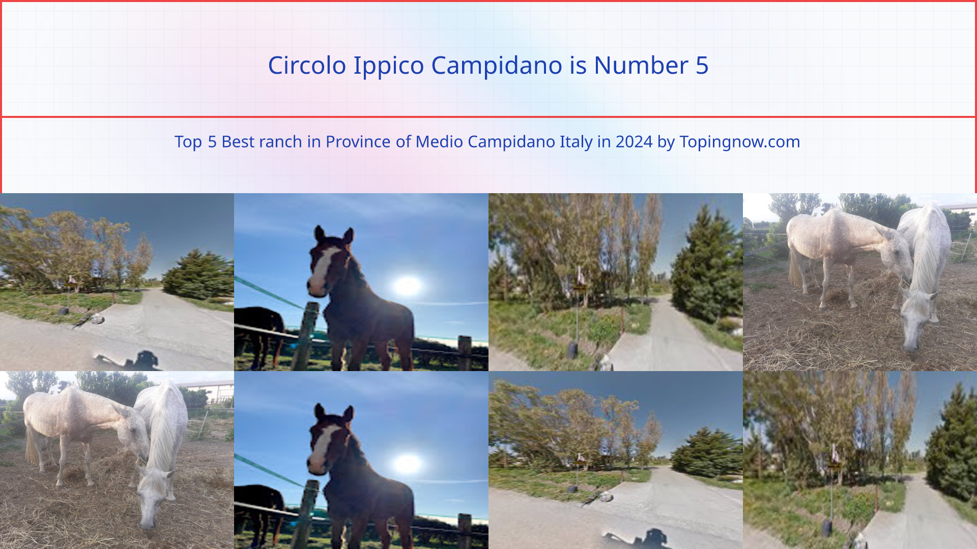 Circolo Ippico Campidano: Top 5 Best ranch in Province of Medio Campidano Italy in 2024