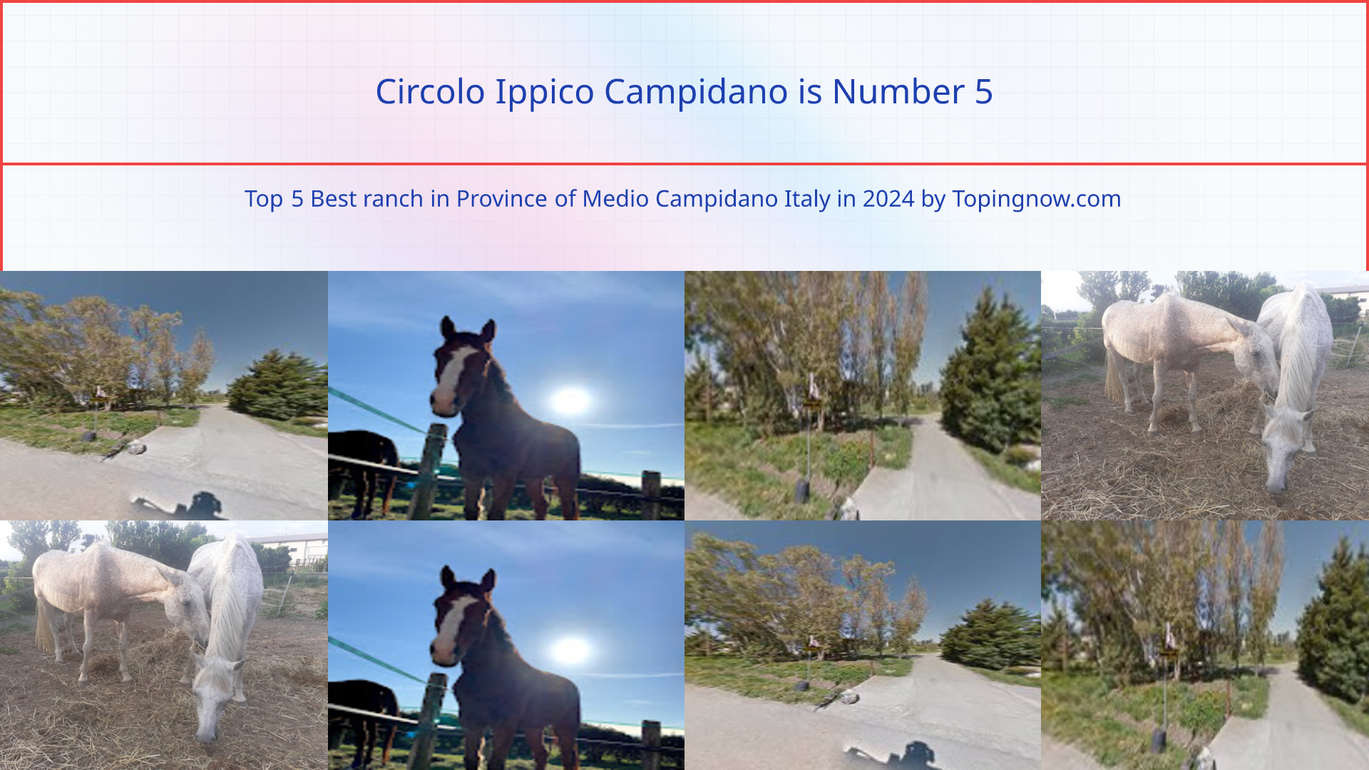 Circolo Ippico Campidano: Top 5 Best ranch in Province of Medio Campidano Italy in 2025