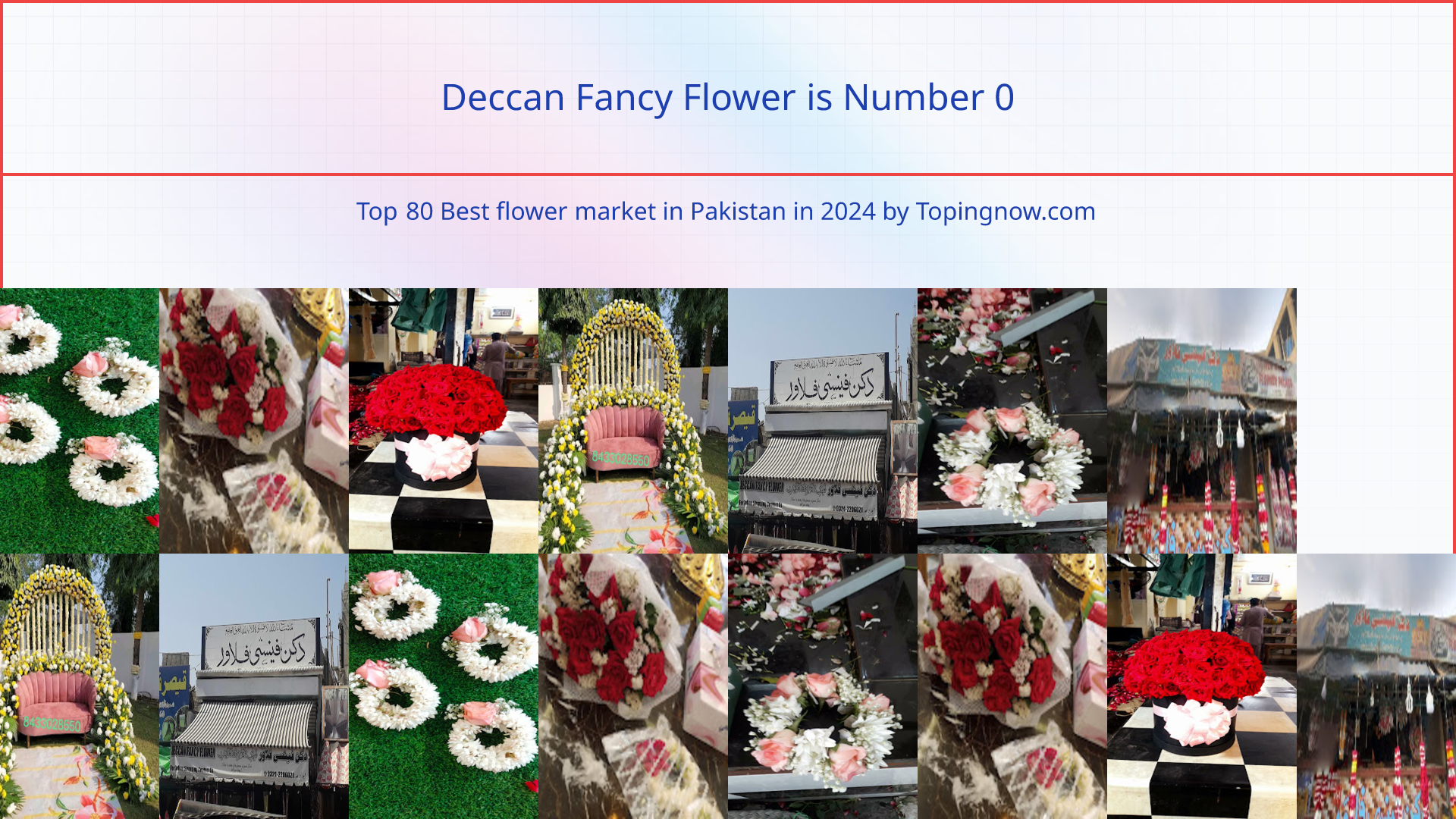 Deccan Fancy Flower: Top 80 Best flower market in Pakistan in 2024