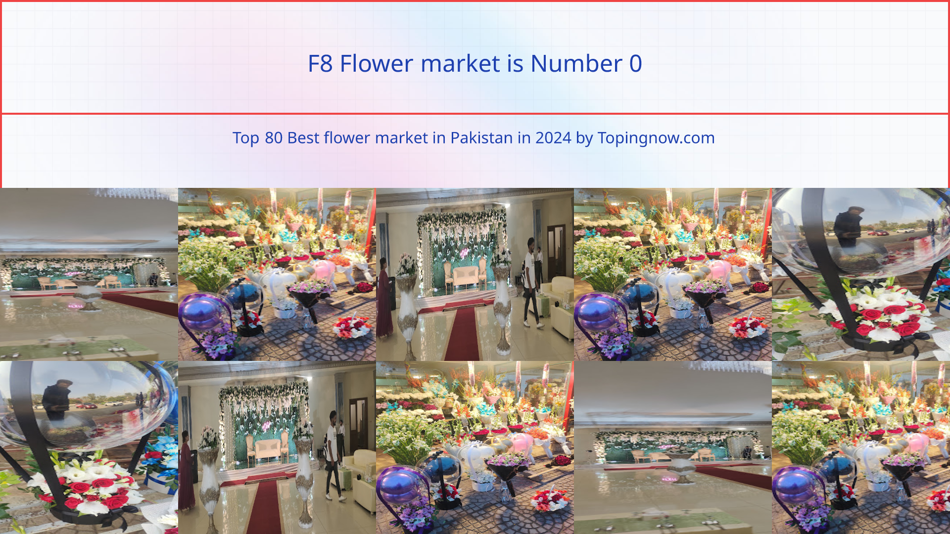 F8 Flower market: Top 80 Best flower market in Pakistan in 2024