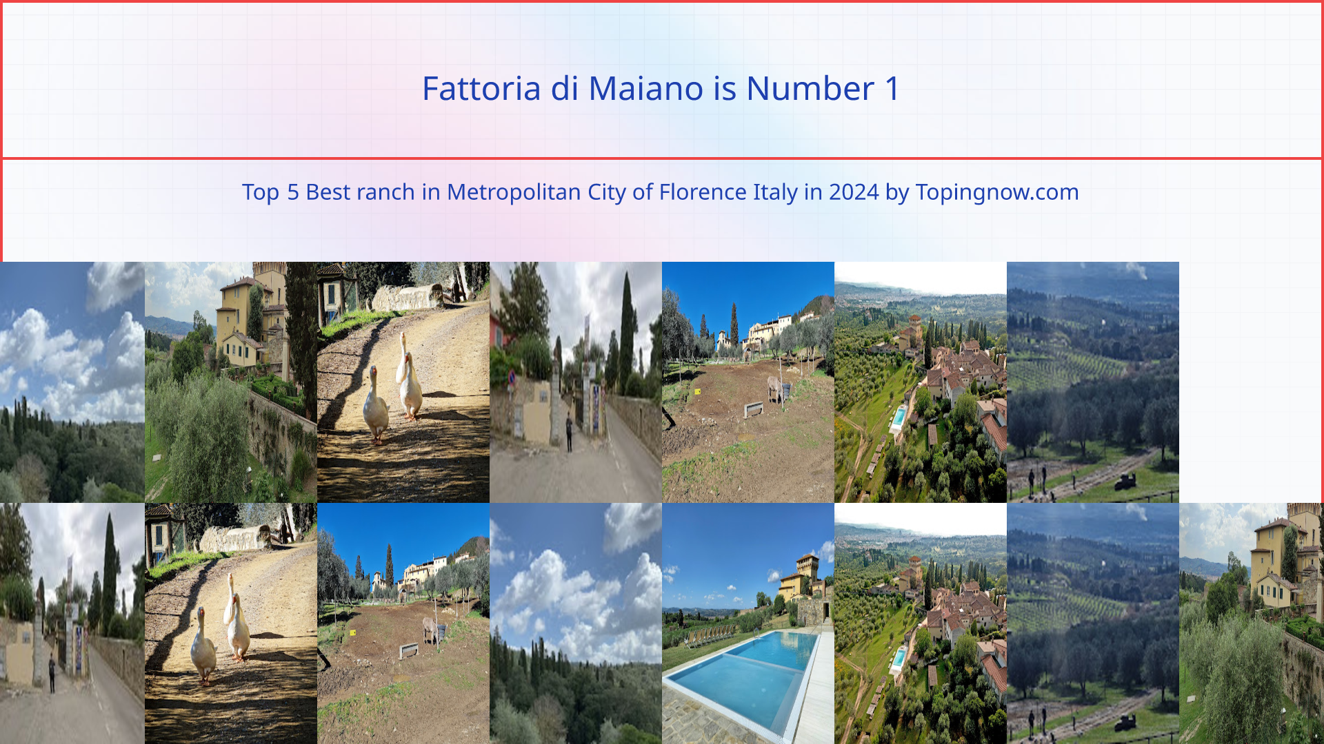 Fattoria di Maiano: Top 5 Best ranch in Metropolitan City of Florence Italy in 2024