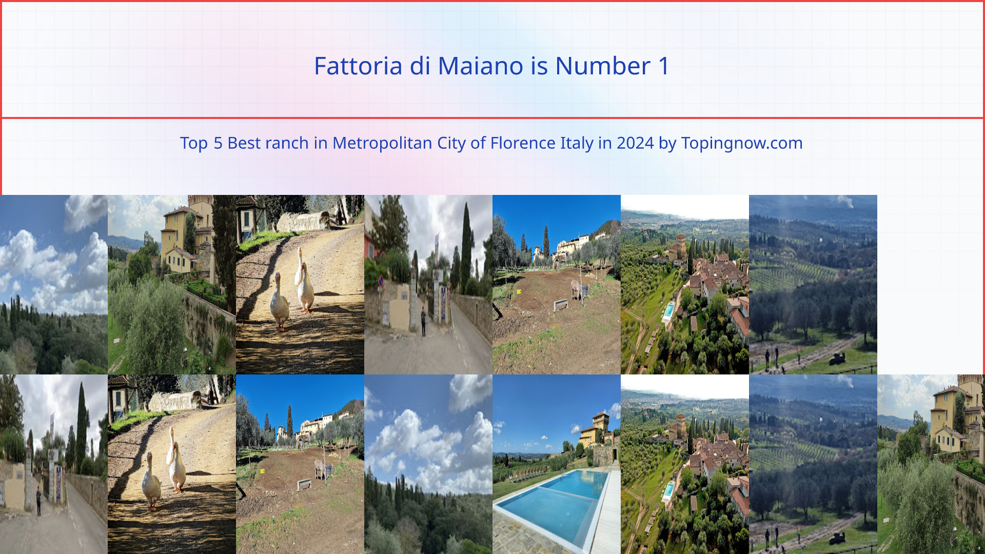 Fattoria di Maiano: Top 5 Best ranch in Metropolitan City of Florence Italy in 2025