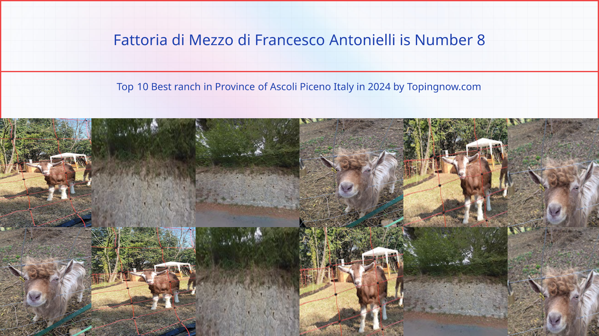 Fattoria di Mezzo di Francesco Antonielli: Top 10 Best ranch in Province of Ascoli Piceno Italy in 2024