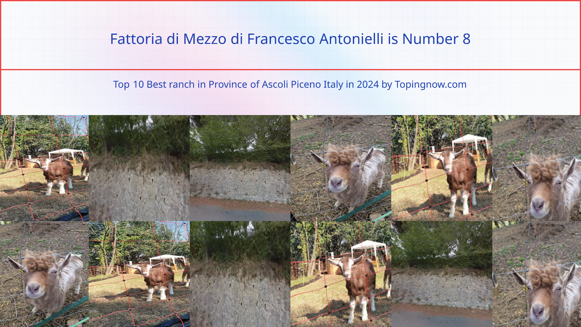 Fattoria di Mezzo di Francesco Antonielli: Top 10 Best ranch in Province of Ascoli Piceno Italy in 2025