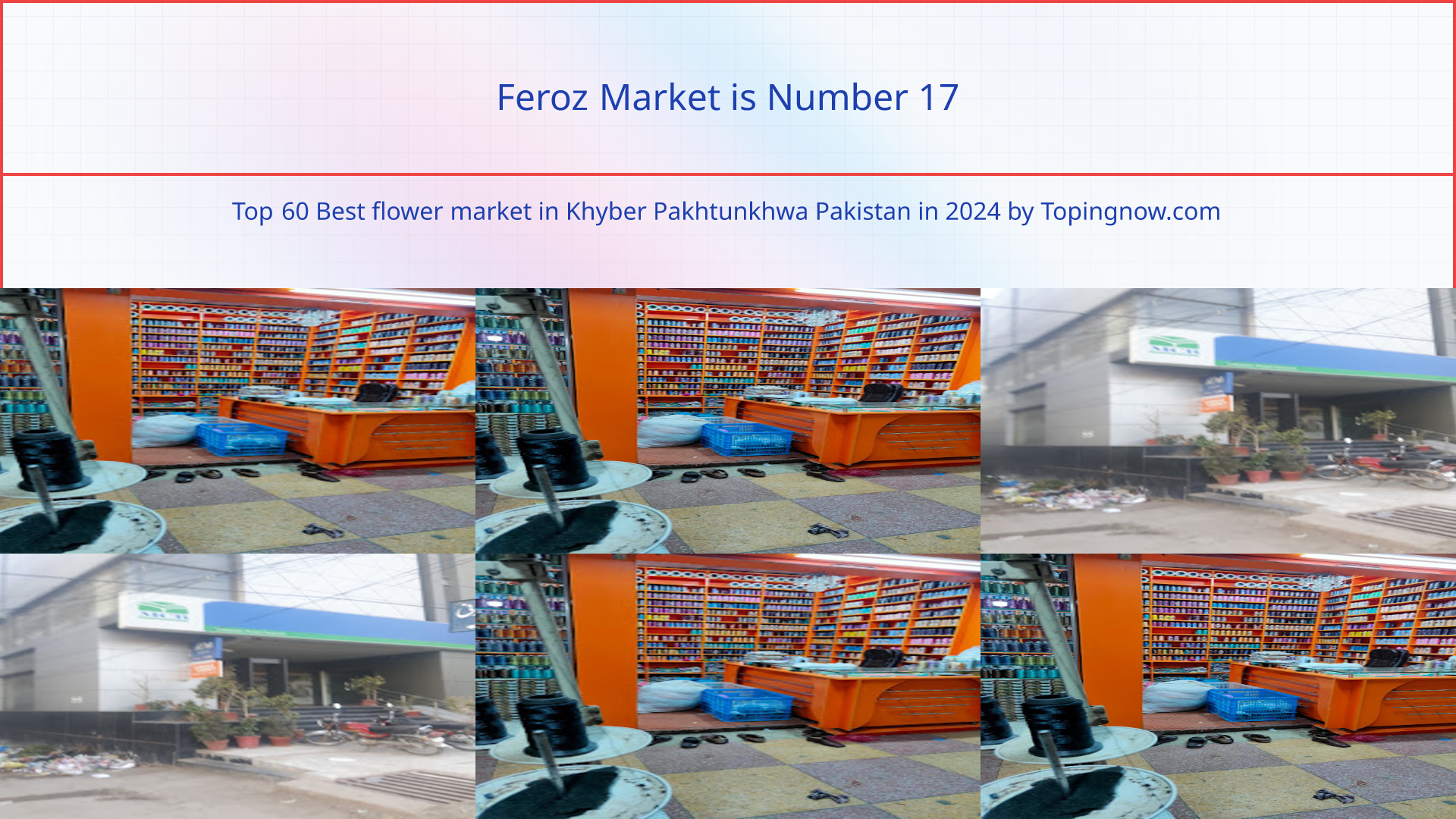 Feroz Market: Top 60 Best flower market in Khyber Pakhtunkhwa Pakistan in 2024