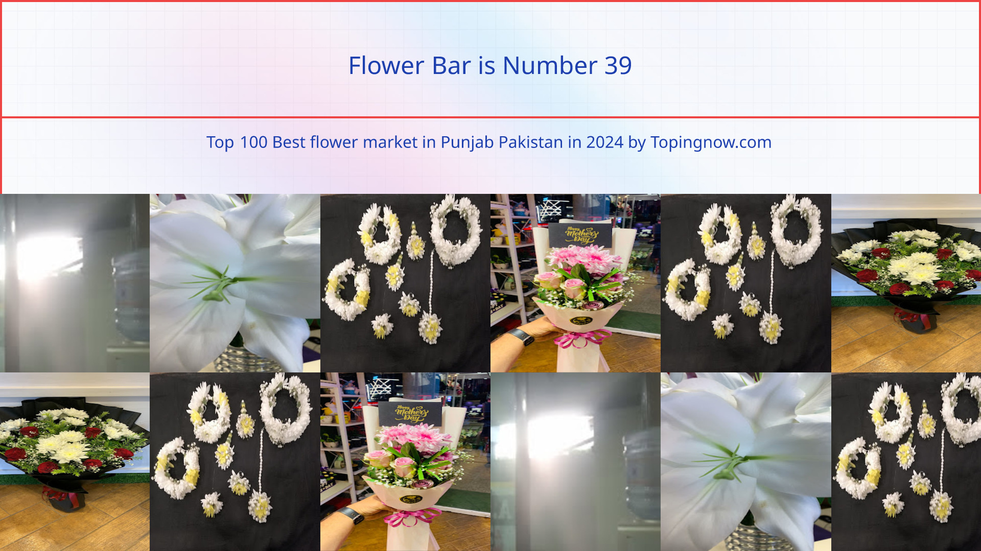 Flower Bar: Top 100 Best flower market in Punjab Pakistan in 2024