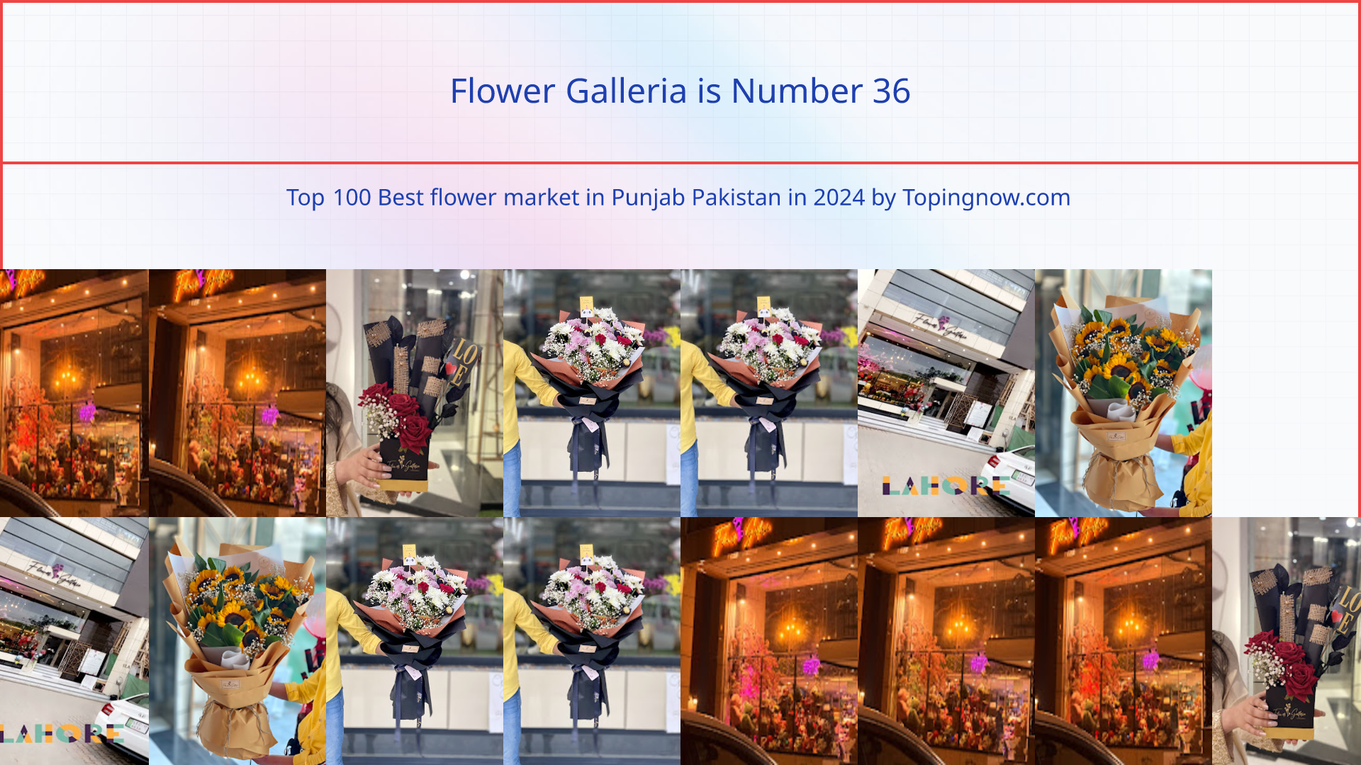 Flower Galleria: Top 100 Best flower market in Punjab Pakistan in 2024