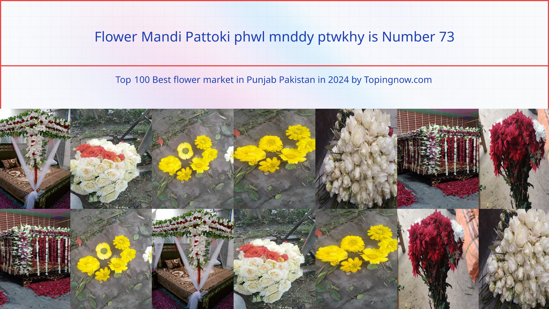 Flower Mandi Pattoki phwl mnddy ptwkhy: Top 100 Best flower market in Punjab Pakistan in 2024