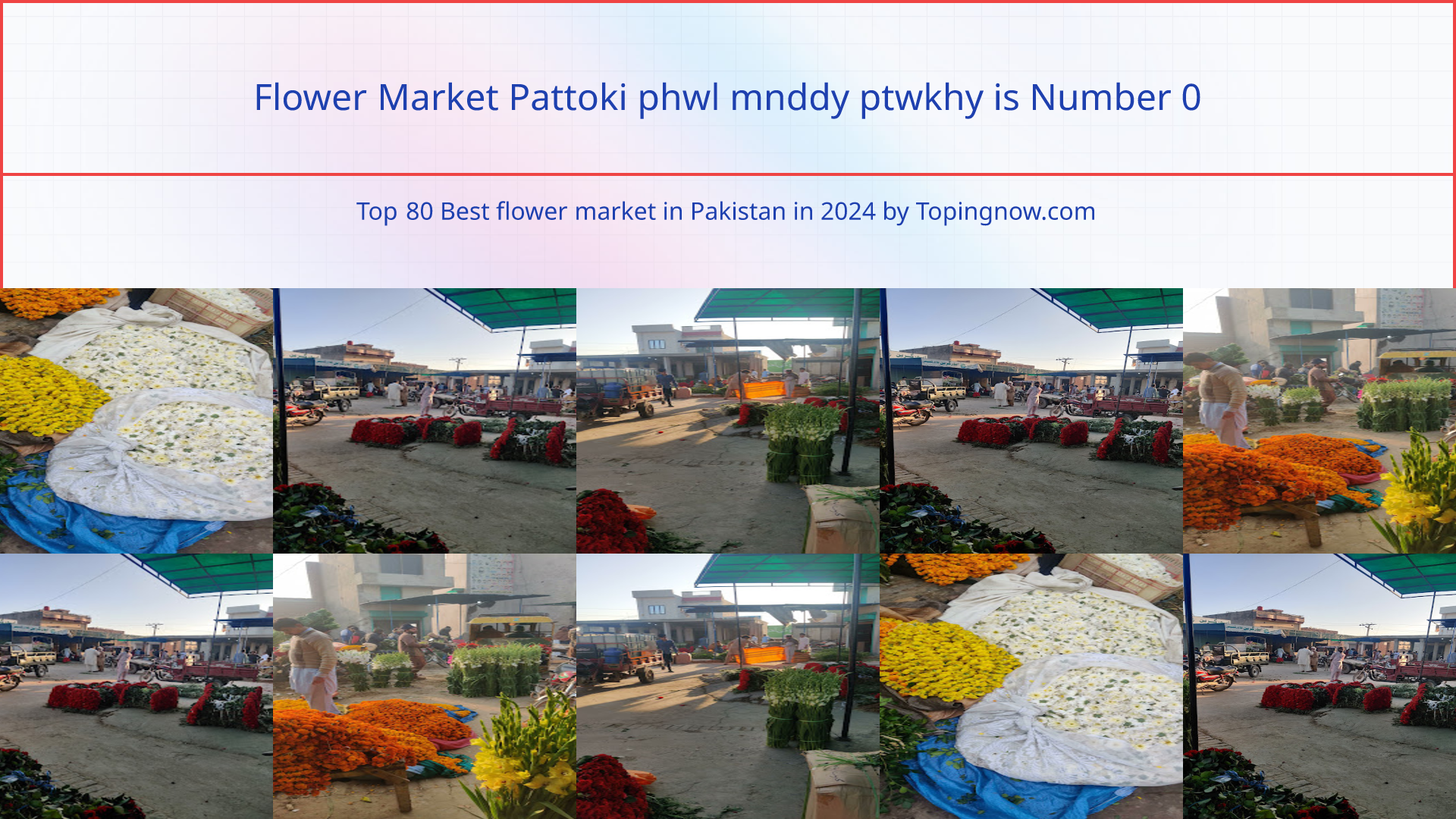 Flower Market Pattoki phwl mnddy ptwkhy: Top 80 Best flower market in Pakistan in 2024