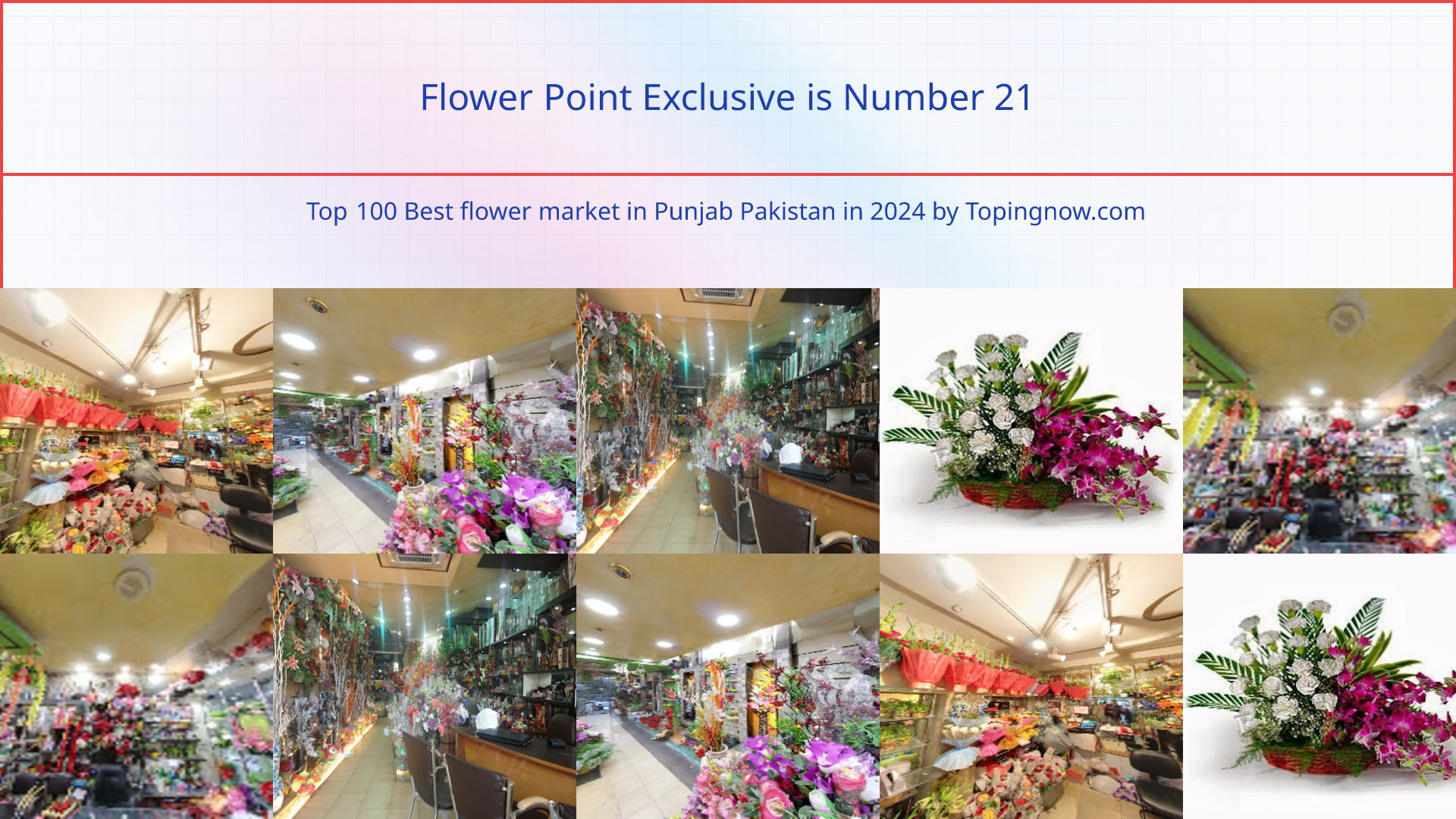 Flower Point Exclusive: Top 100 Best flower market in Punjab Pakistan in 2024