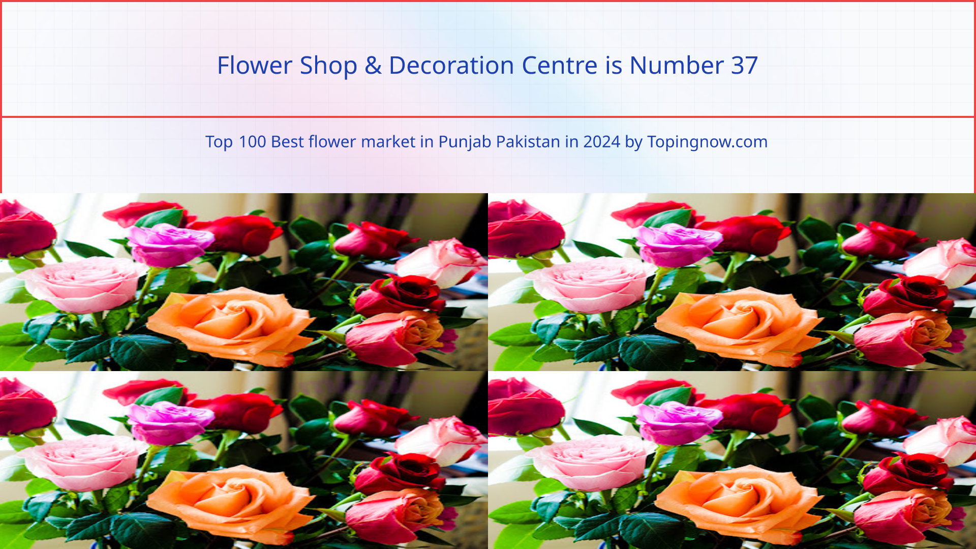 Flower Shop & Decoration Centre: Top 100 Best flower market in Punjab Pakistan in 2025