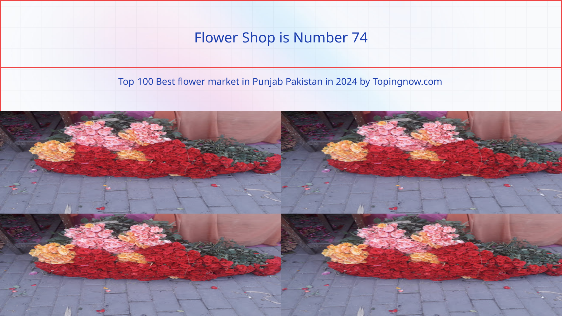 Flower Shop: Top 100 Best flower market in Punjab Pakistan in 2024