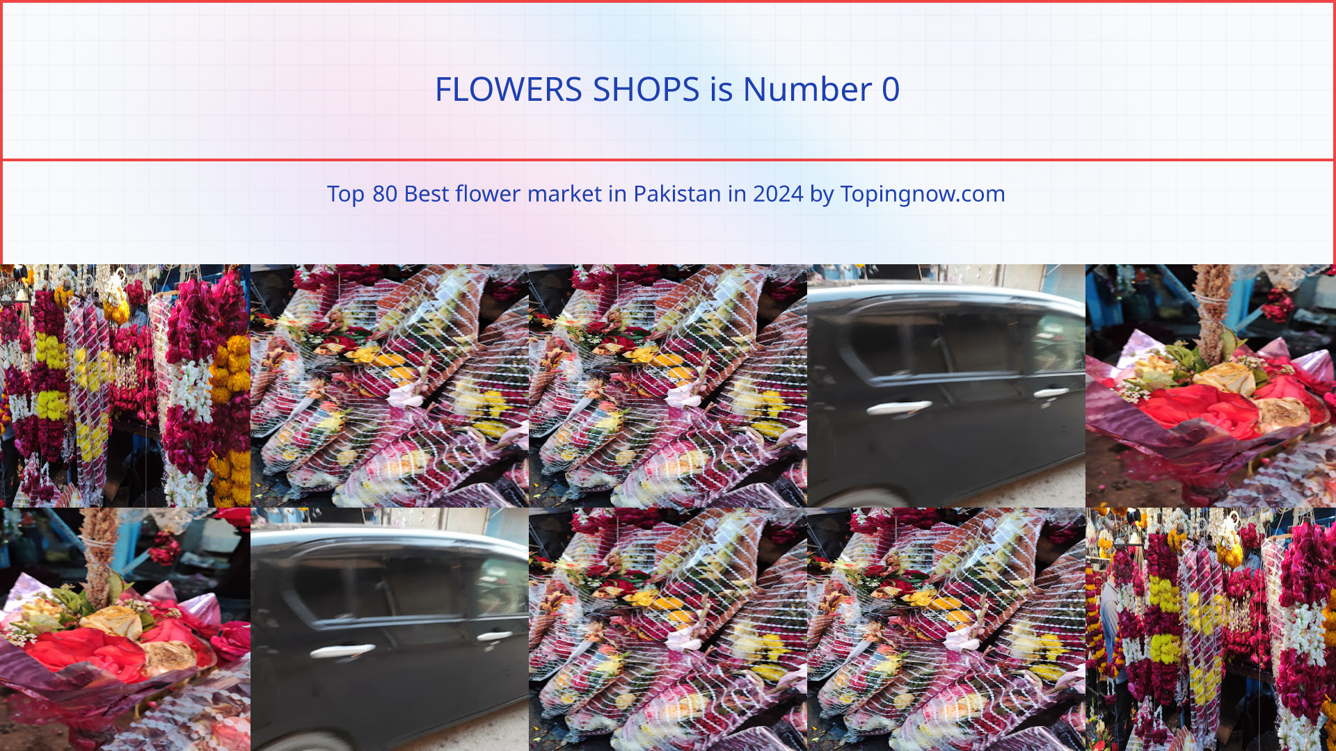 FLOWERS SHOPS: Top 80 Best flower market in Pakistan in 2024