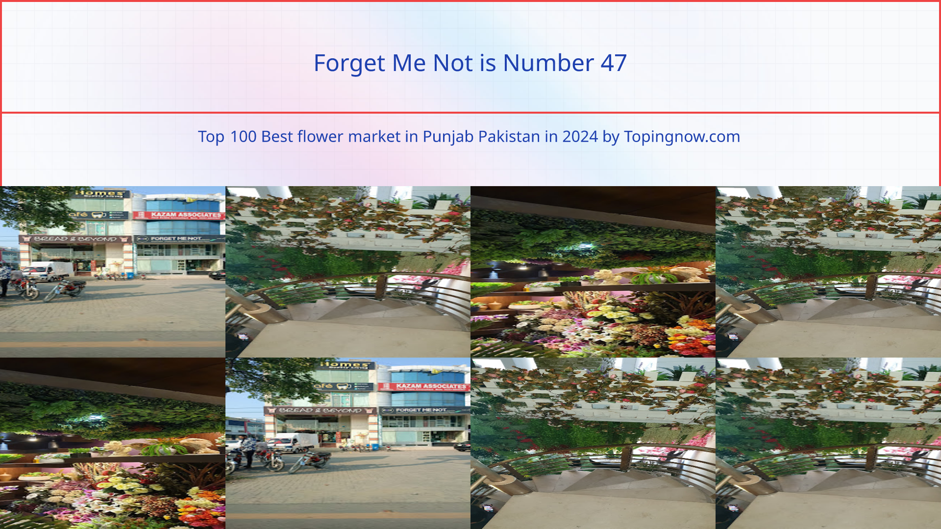 Forget Me Not: Top 100 Best flower market in Punjab Pakistan in 2025