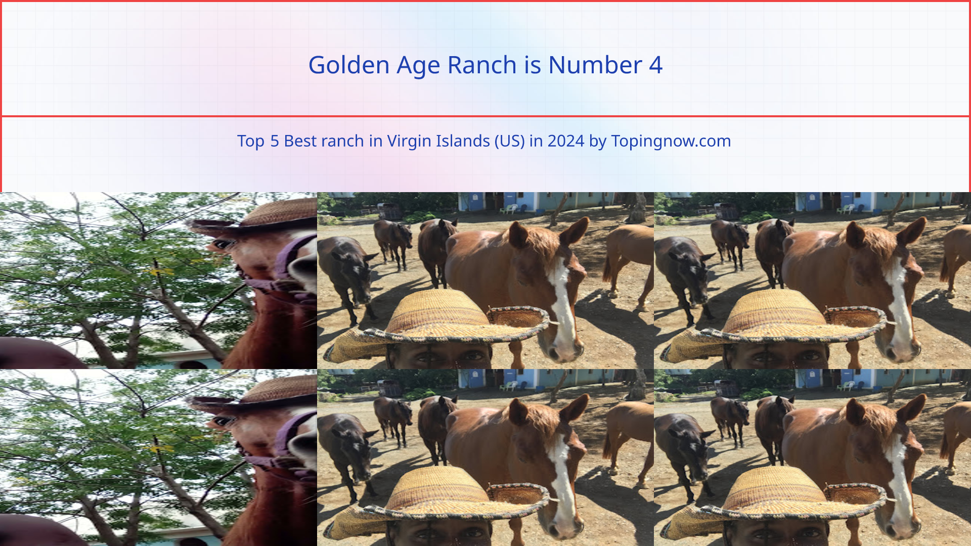 Golden Age Ranch: Top 5 Best ranch in Virgin Islands (US) in 2024