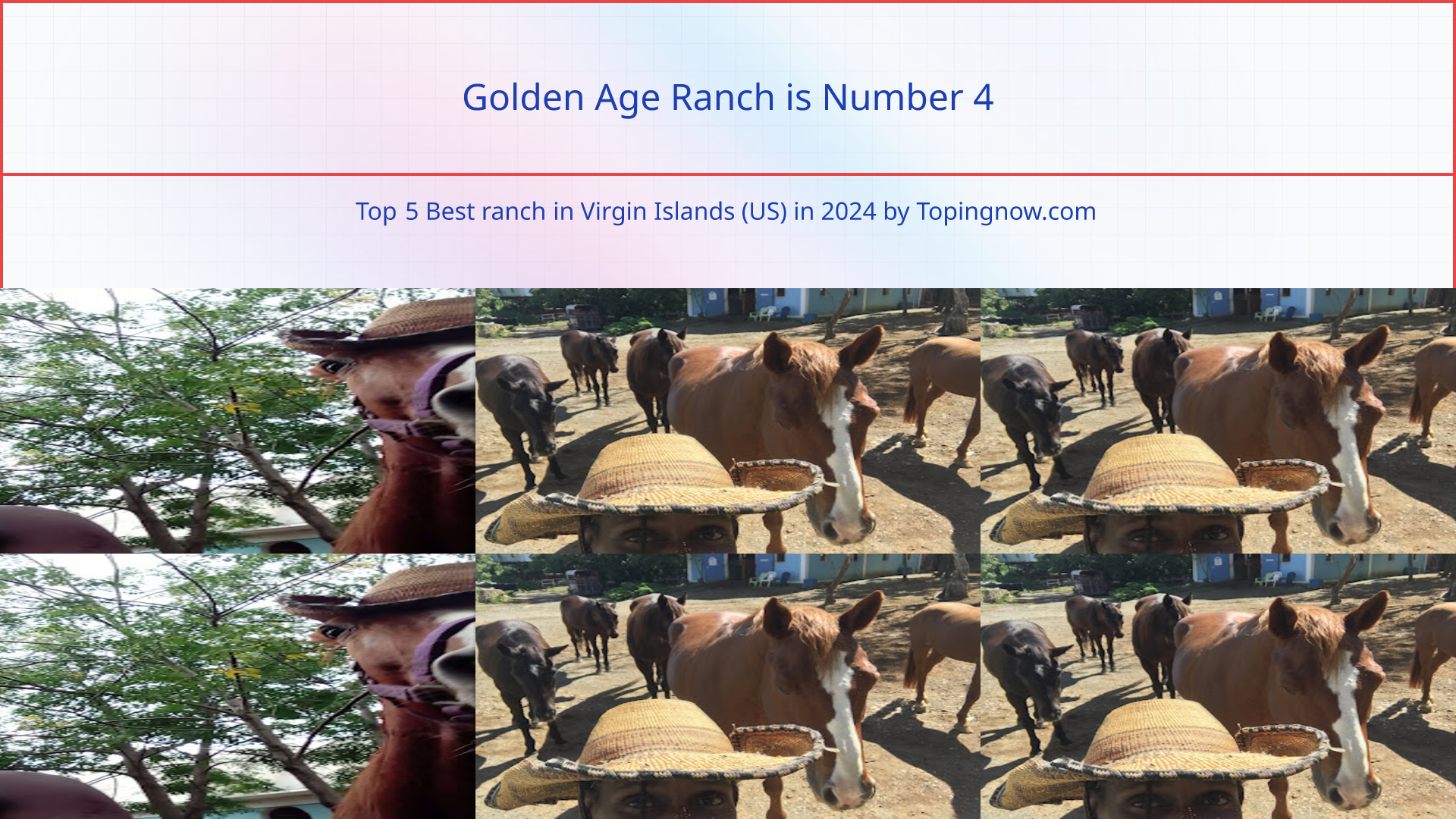 Golden Age Ranch: Top 5 Best ranch in Virgin Islands (US) in 2025