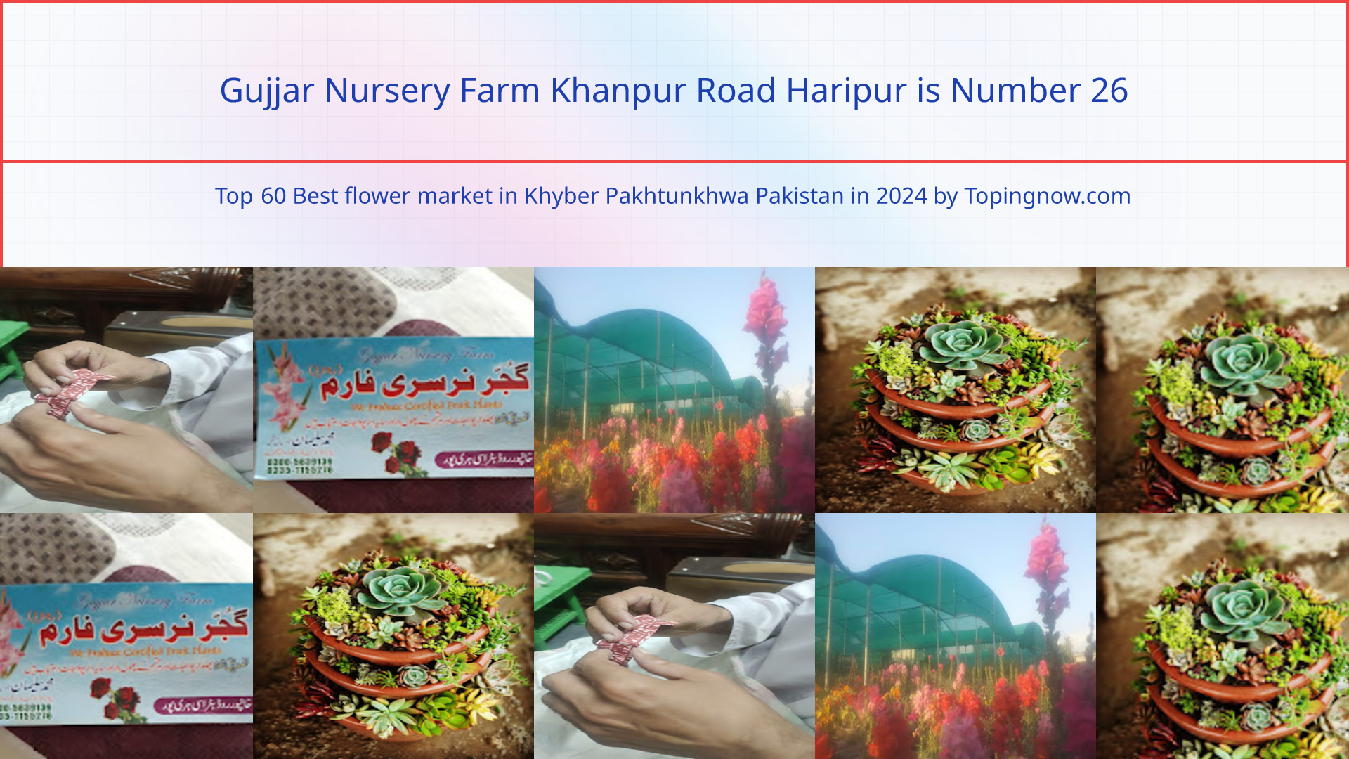Gujjar Nursery Farm Khanpur Road Haripur: Top 60 Best flower market in Khyber Pakhtunkhwa Pakistan in 2024