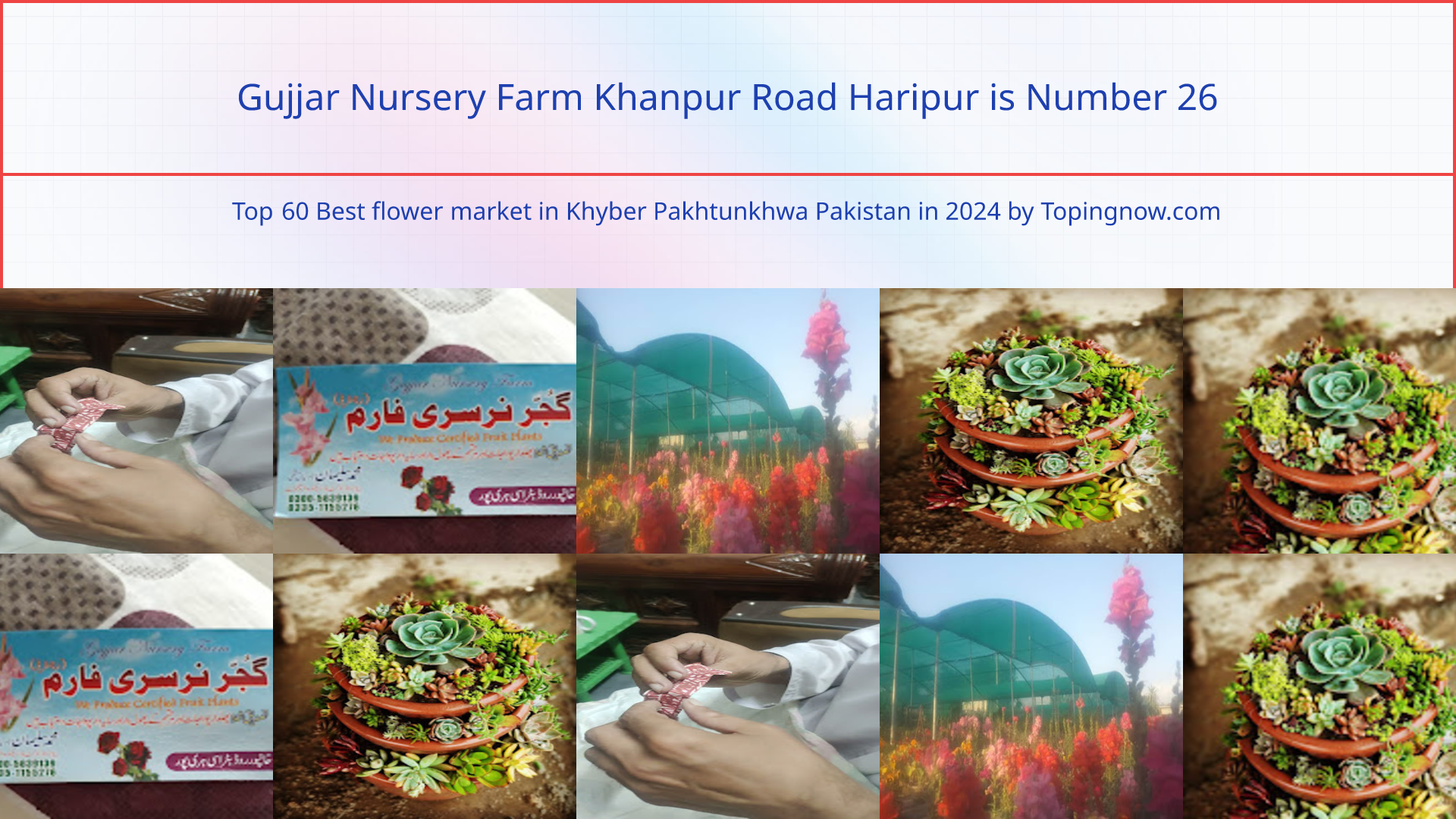 Gujjar Nursery Farm Khanpur Road Haripur: Top 60 Best flower market in Khyber Pakhtunkhwa Pakistan in 2025