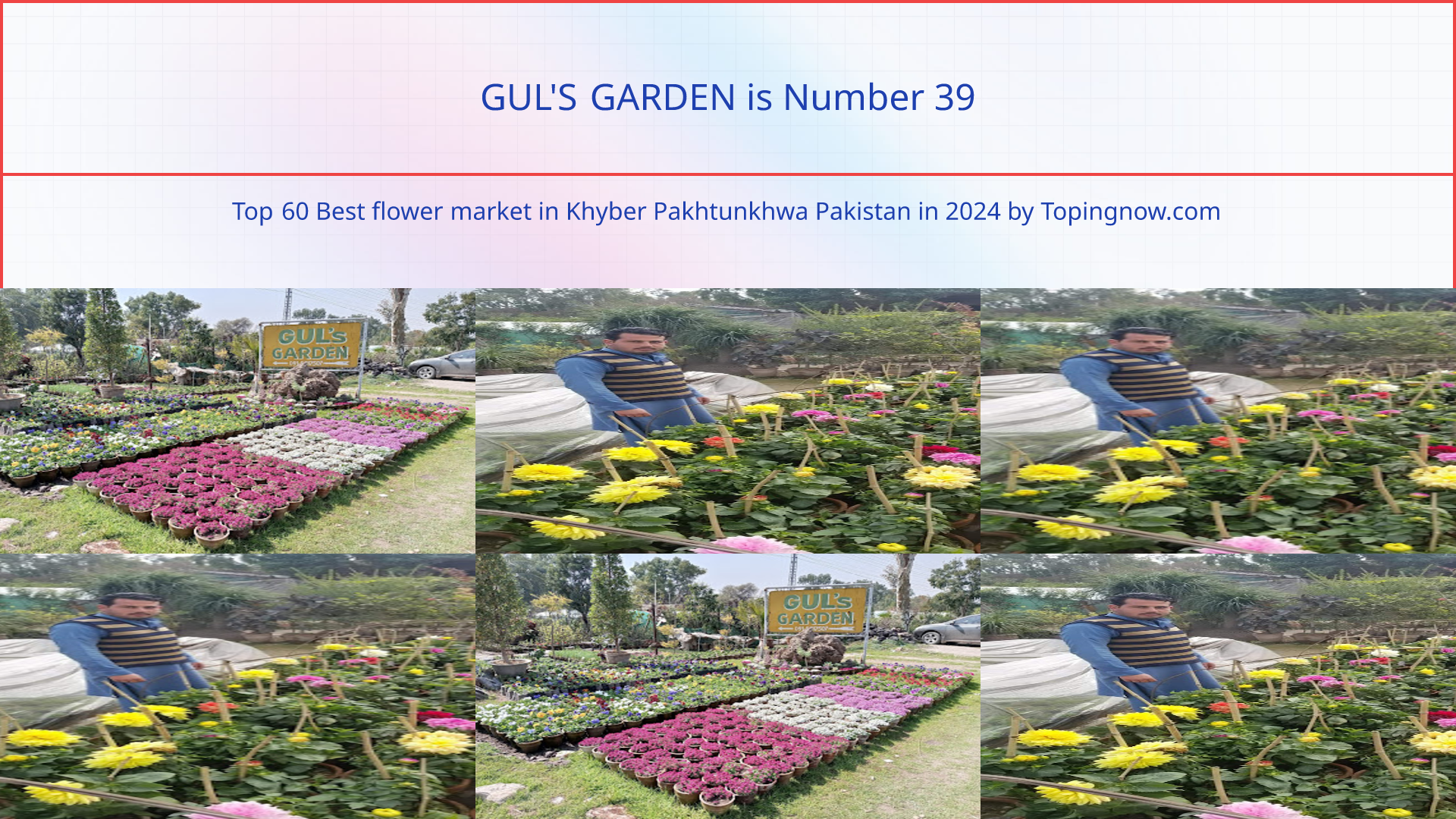 GUL'S GARDEN: Top 60 Best flower market in Khyber Pakhtunkhwa Pakistan in 2024