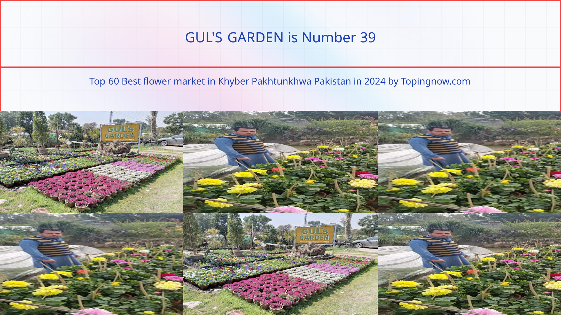 GUL'S GARDEN: Top 60 Best flower market in Khyber Pakhtunkhwa Pakistan in 2025