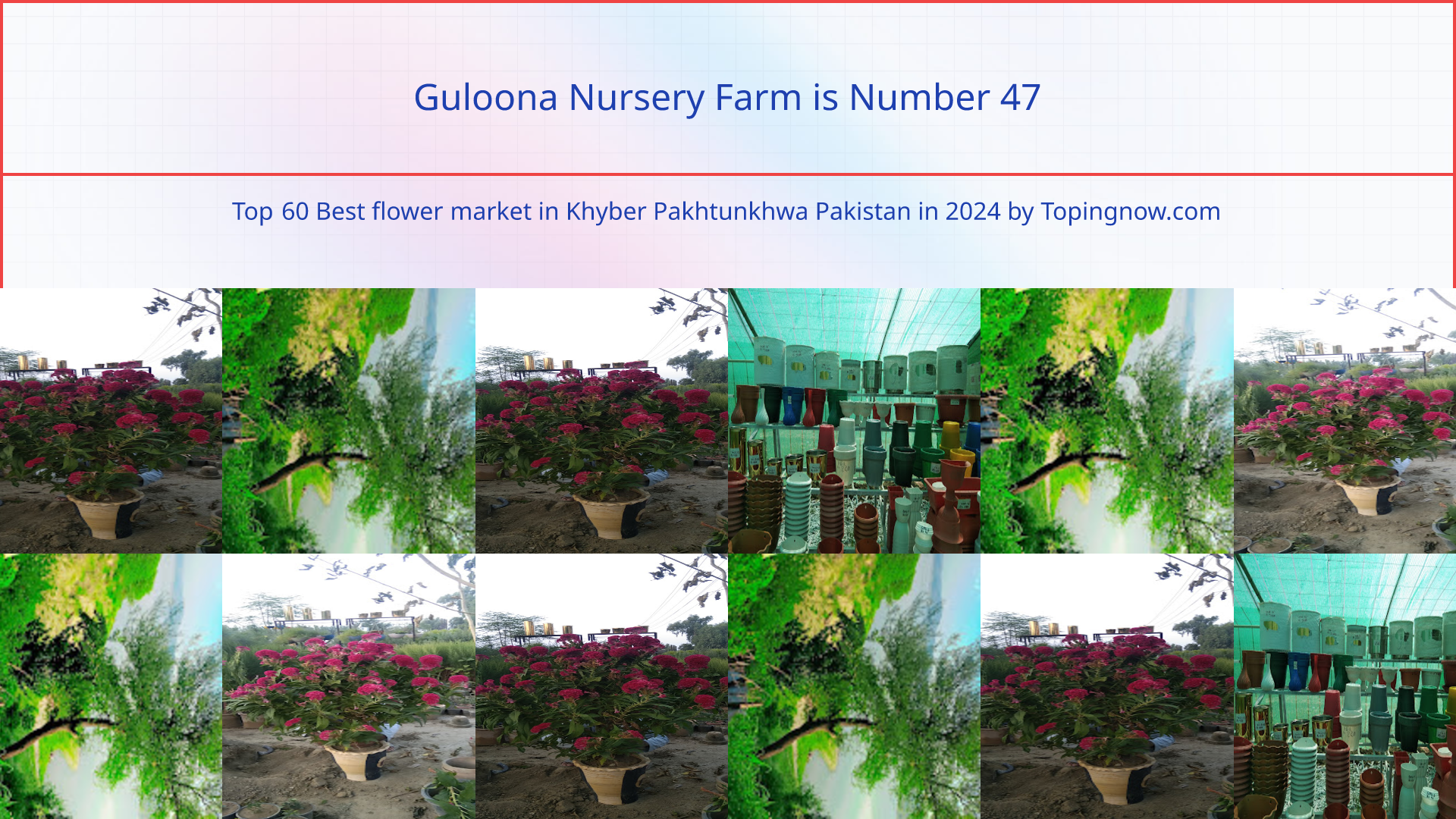 Guloona Nursery Farm: Top 60 Best flower market in Khyber Pakhtunkhwa Pakistan in 2025