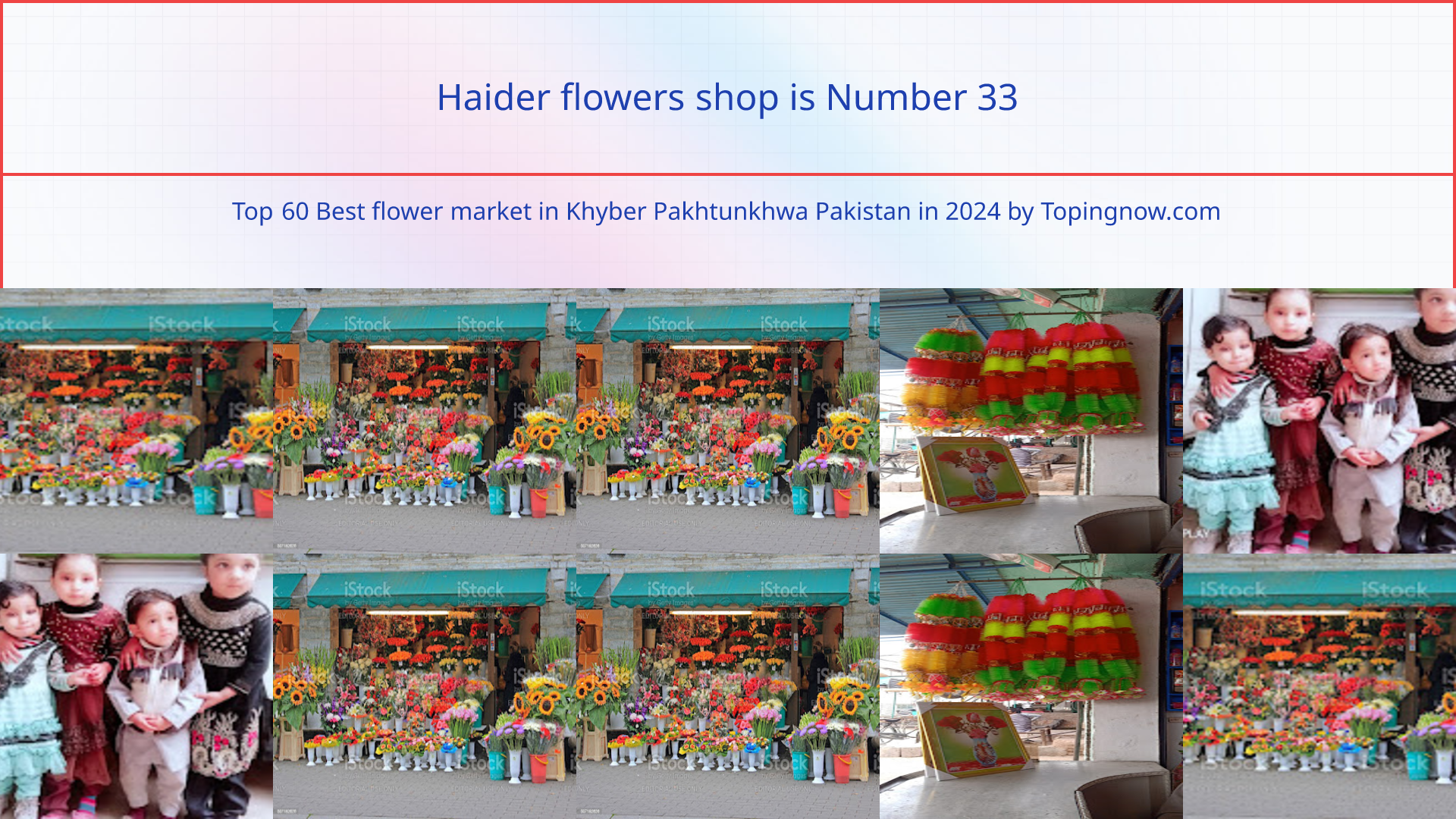 Haider flowers shop: Top 60 Best flower market in Khyber Pakhtunkhwa Pakistan in 2024