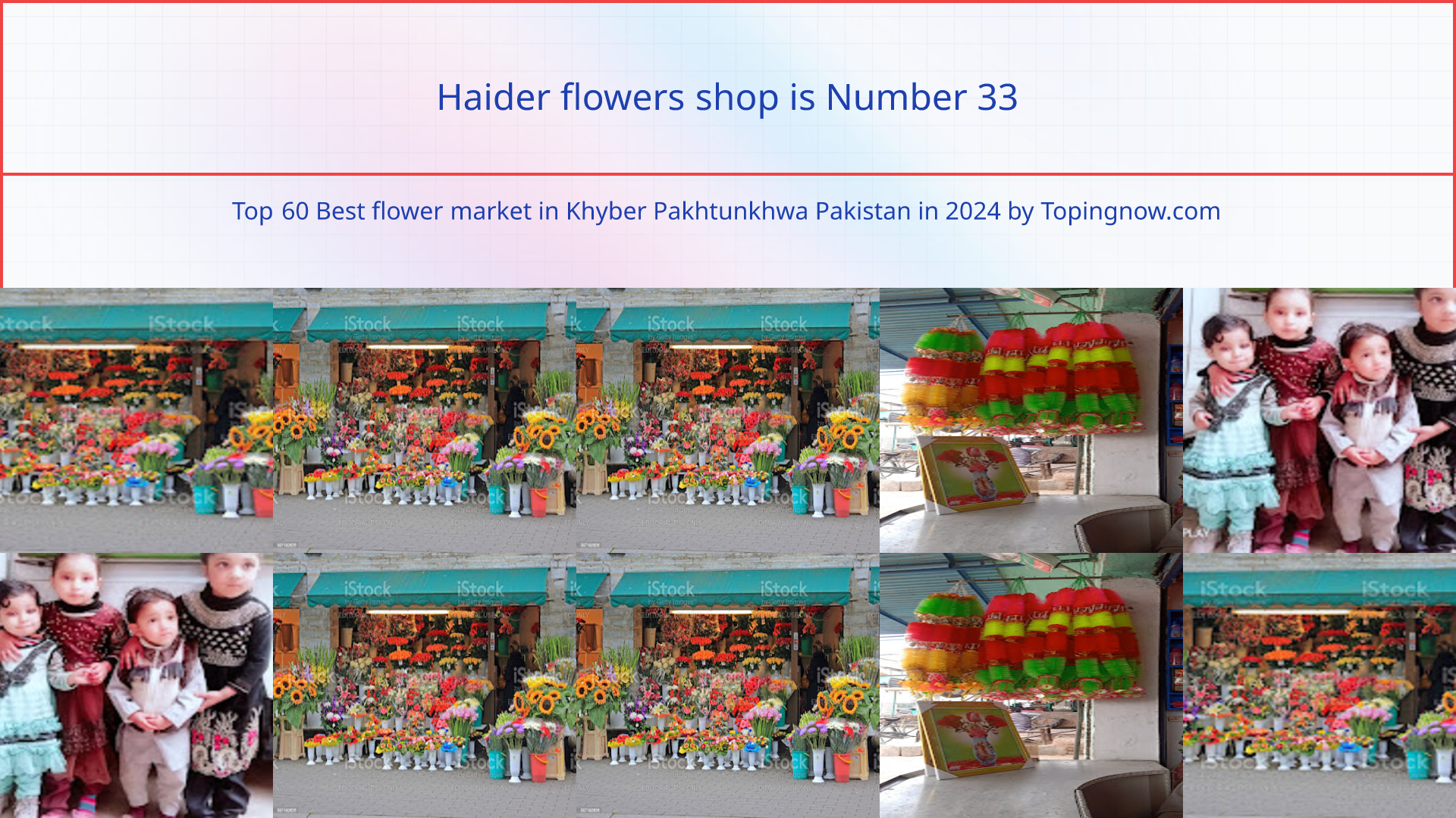 Haider flowers shop: Top 60 Best flower market in Khyber Pakhtunkhwa Pakistan in 2025