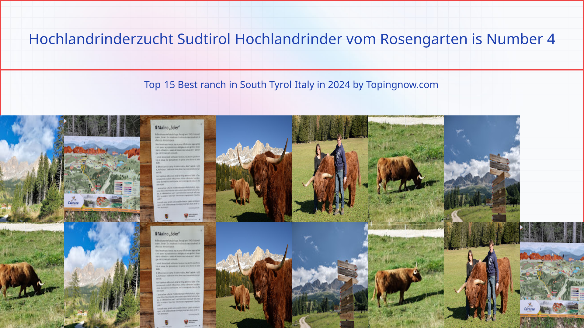 Hochlandrinderzucht Sudtirol Hochlandrinder vom Rosengarten: Top 15 Best ranch in South Tyrol Italy in 2024