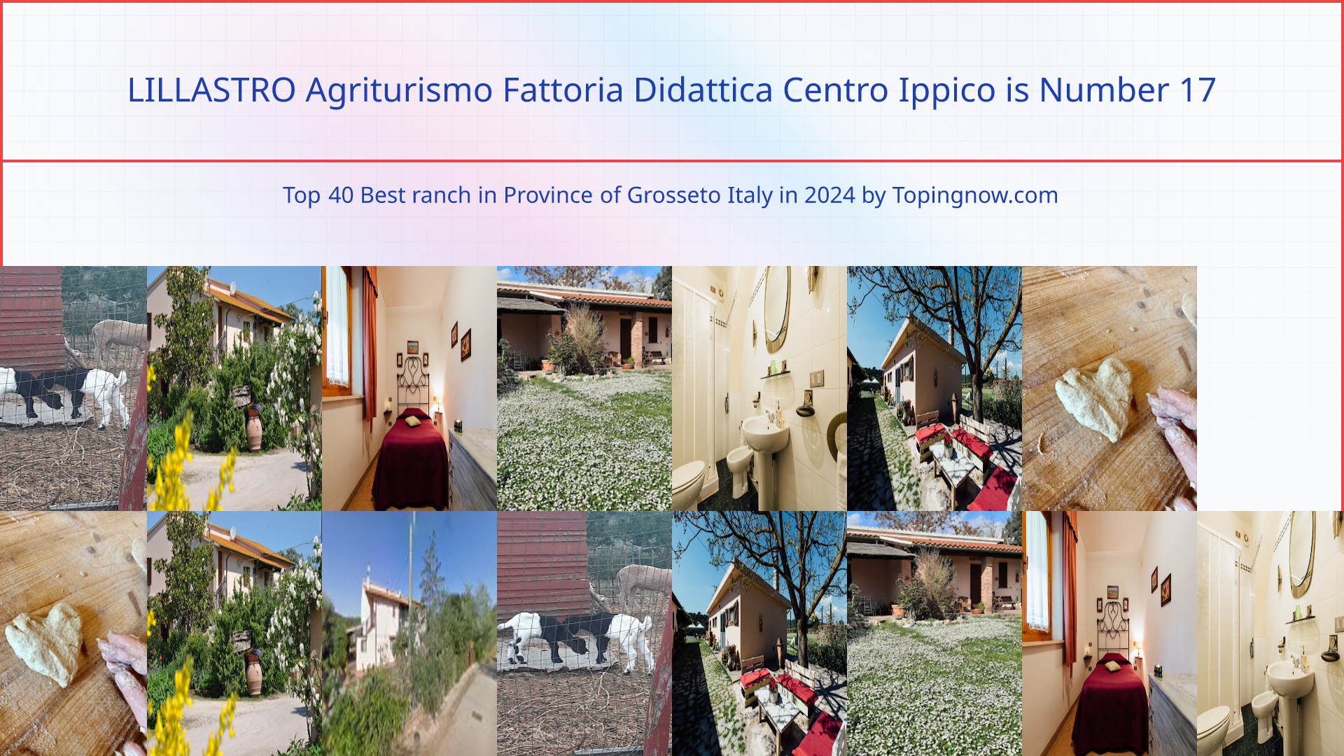 LILLASTRO Agriturismo Fattoria Didattica Centro Ippico: Top 40 Best ranch in Province of Grosseto Italy in 2024