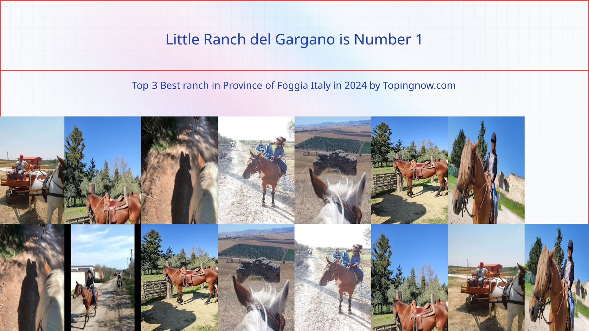 Little Ranch del Gargano: Top 3 Best ranch in Province of Foggia Italy in 2025