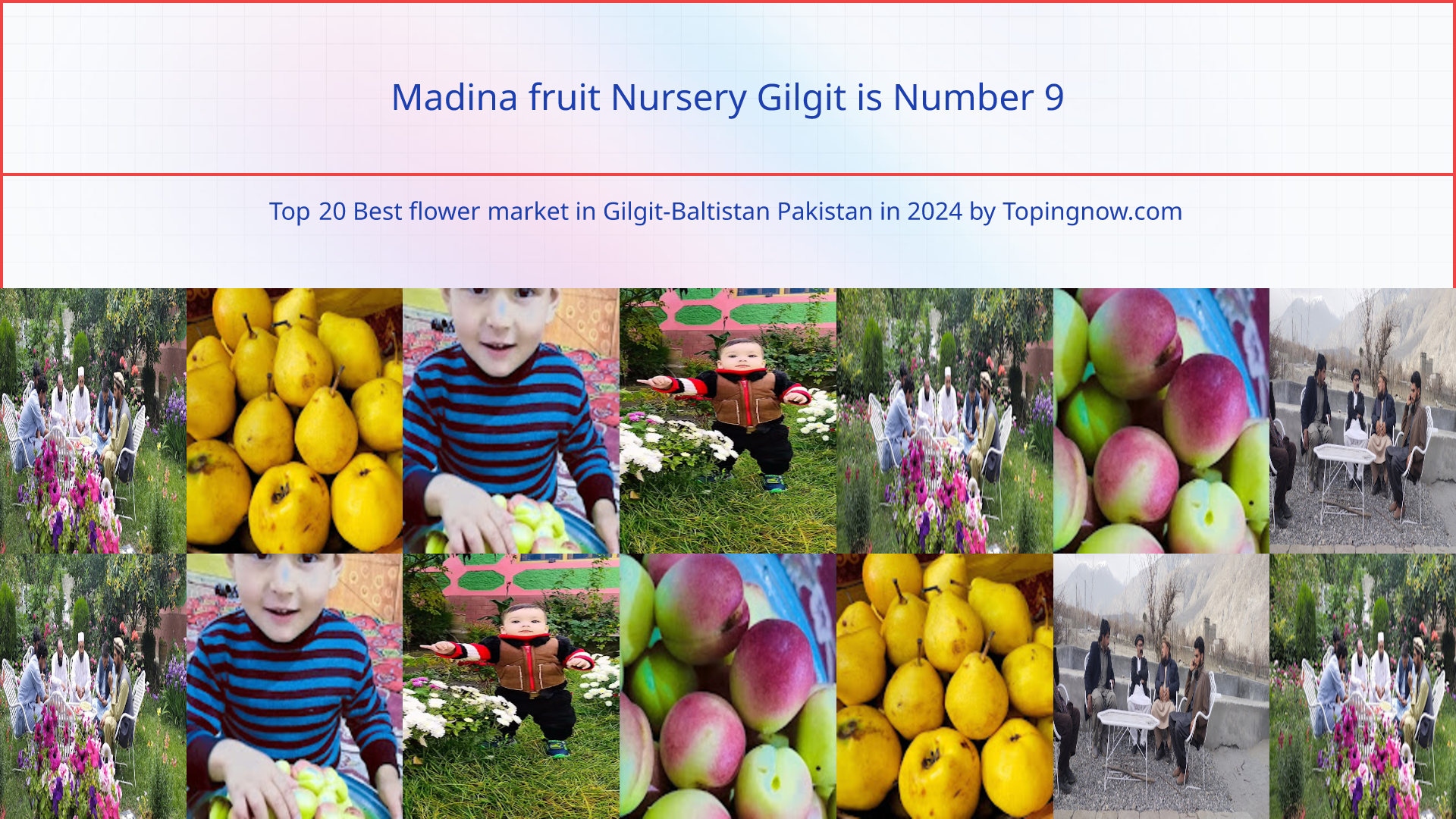 Madina fruit Nursery Gilgit: Top 20 Best flower market in Gilgit-Baltistan Pakistan in 2024